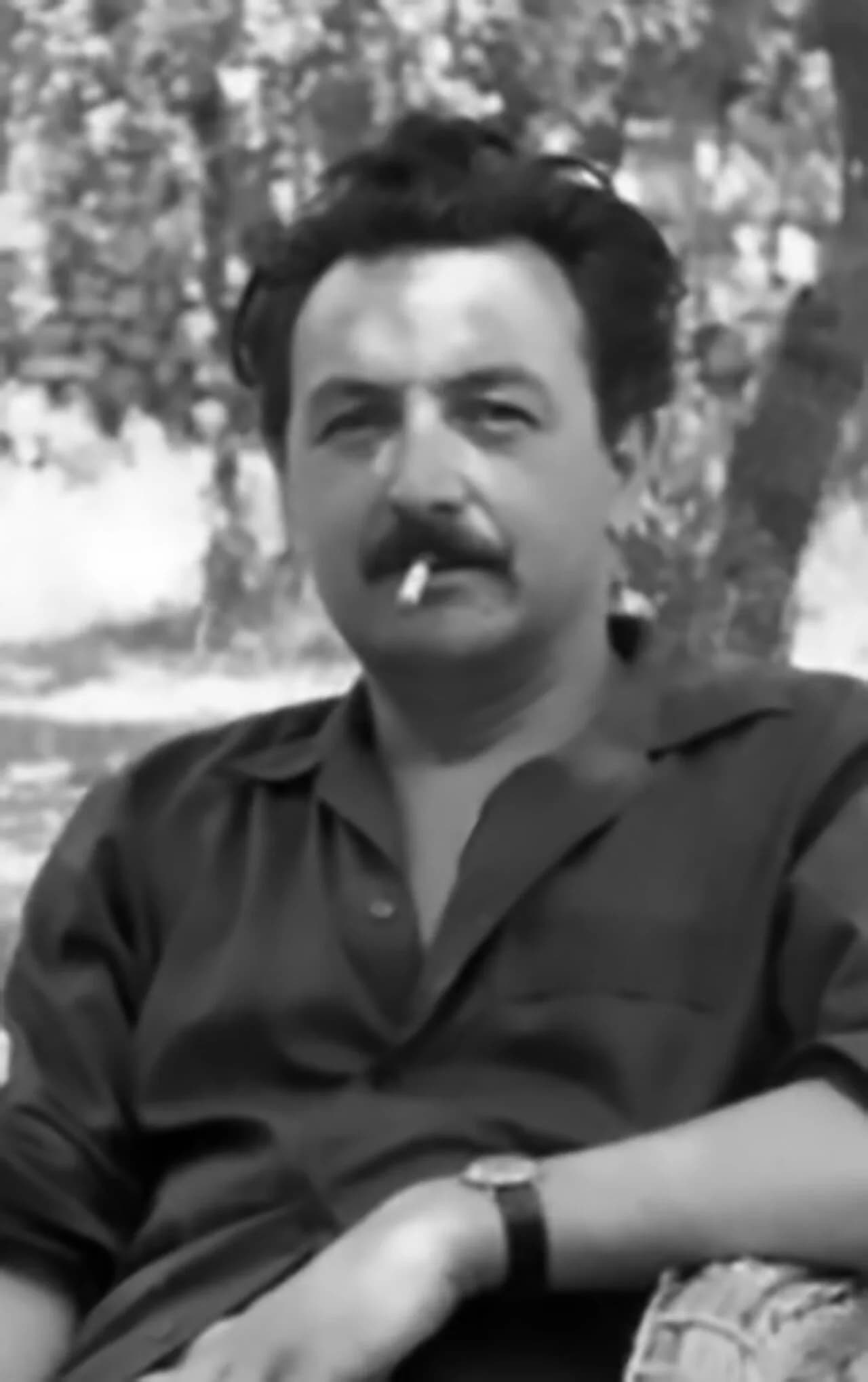 Henri Ginet