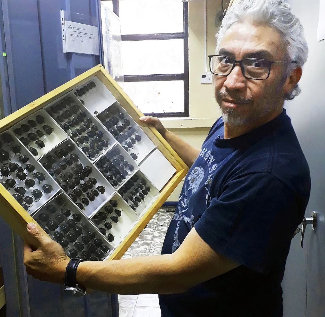 Enio B. Cano