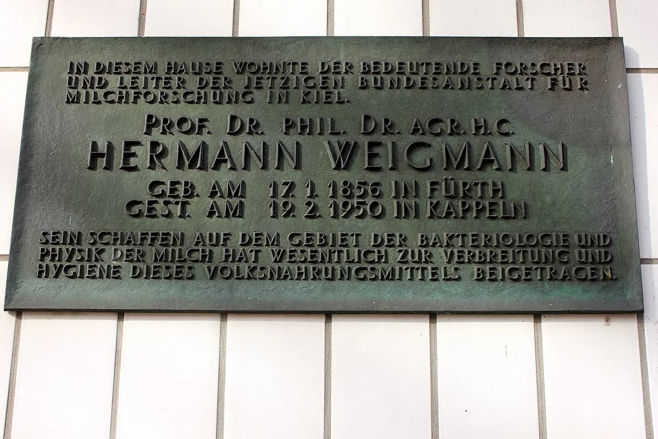 Hermann Weigmann