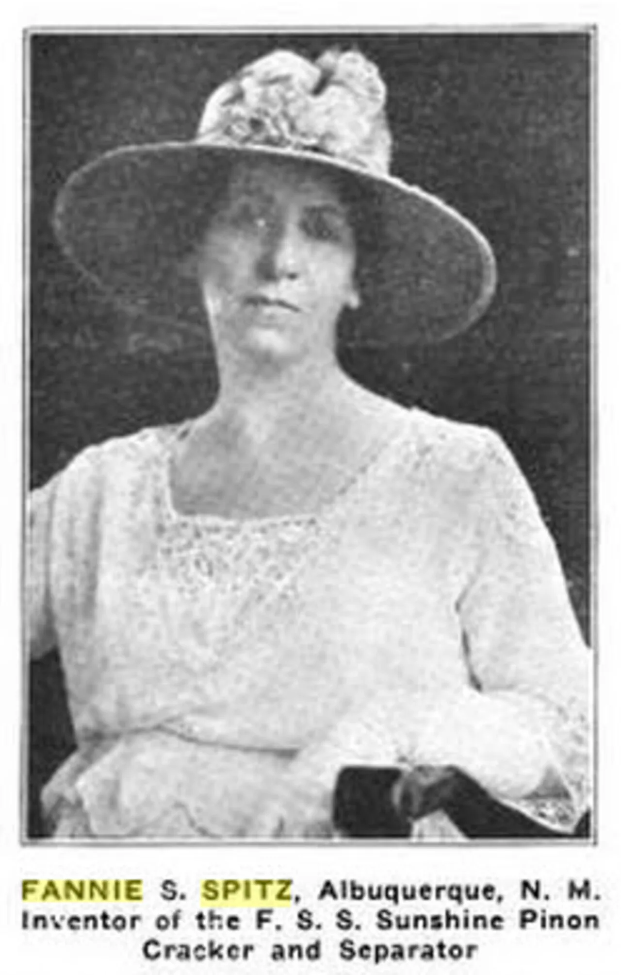 Fannie S. Spitz