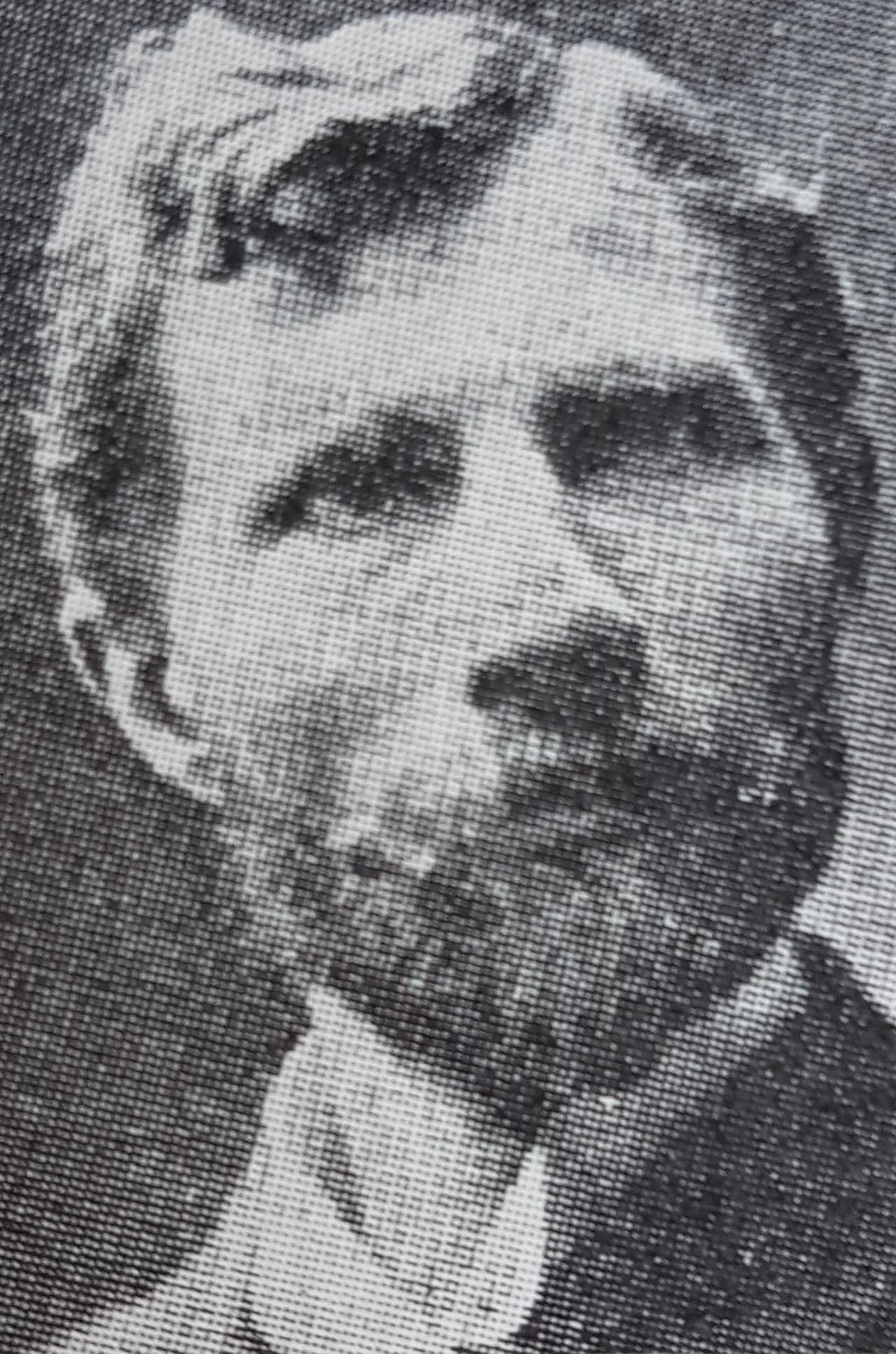 Johan Alfred Skogh