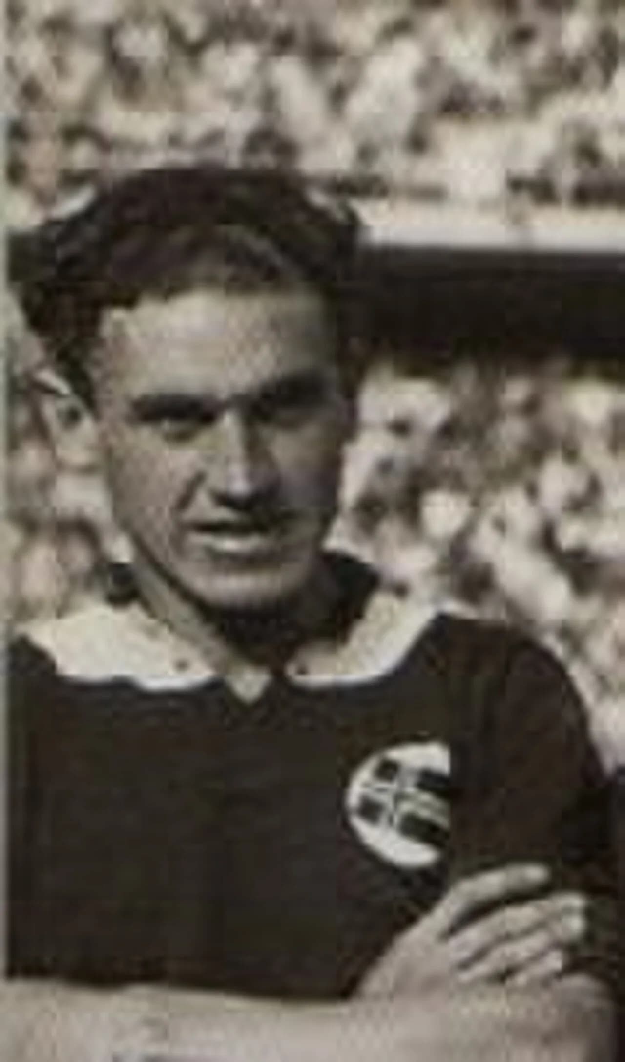Arne Brustad