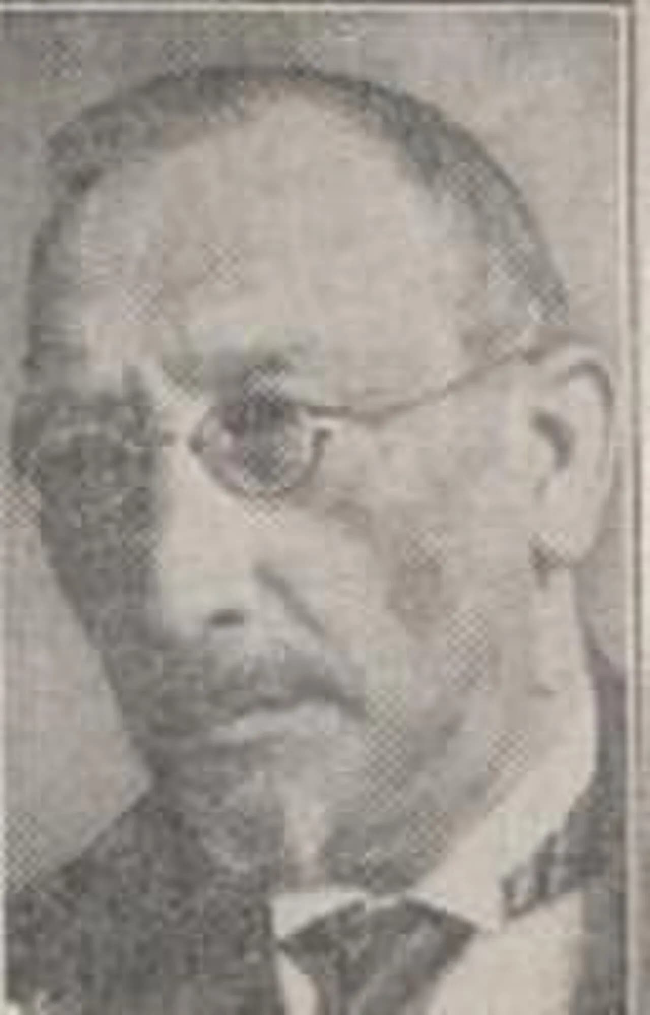 David Mozes Sluys