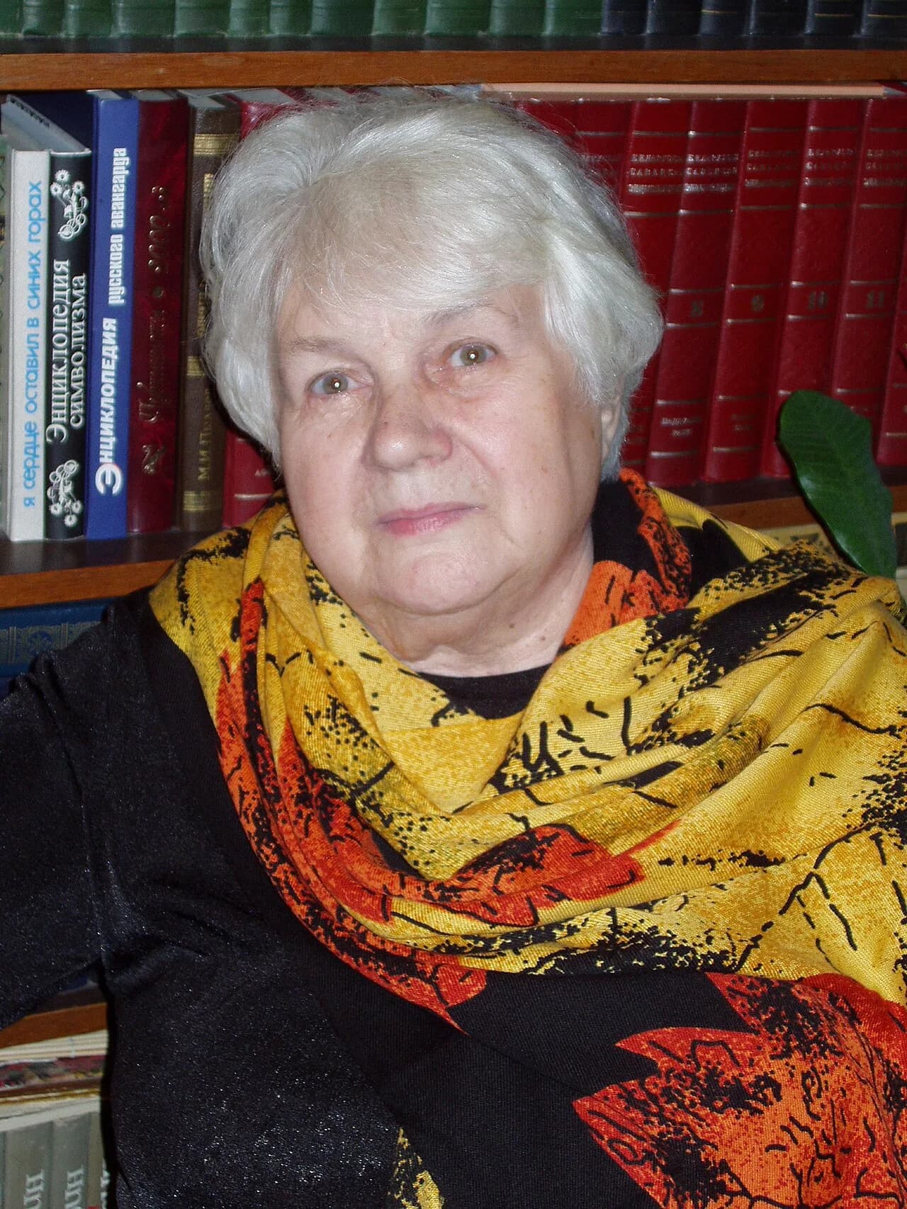 Maina Babaryka