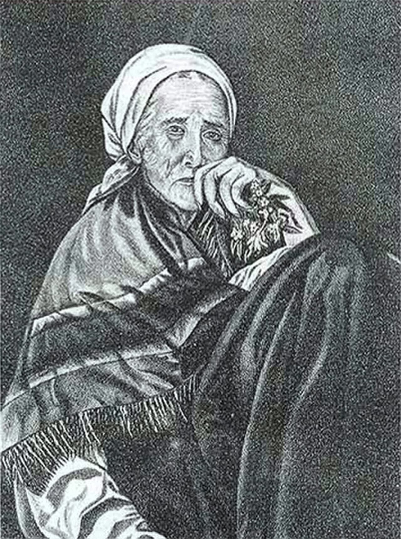 Pelagia