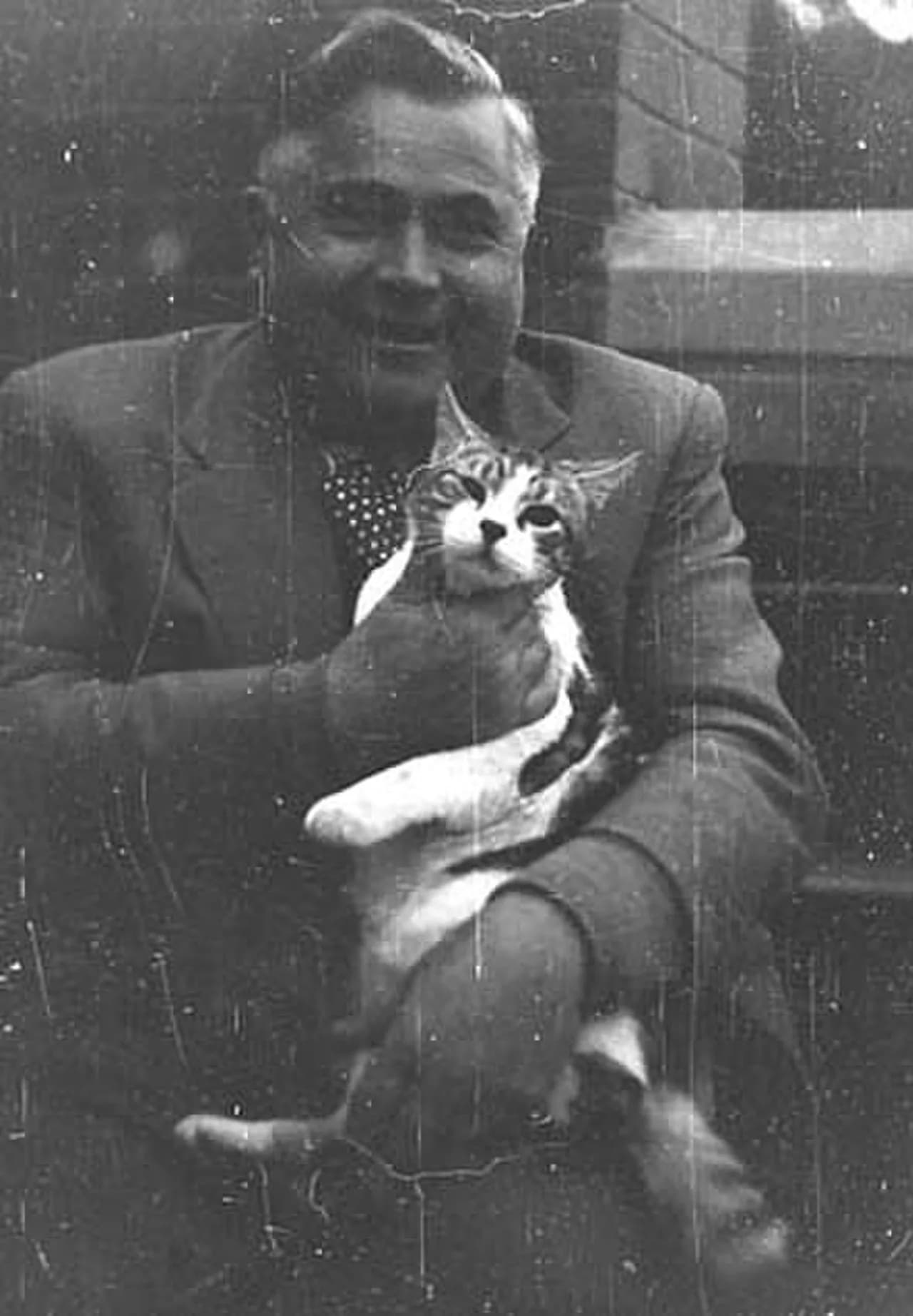 Vladimir Mikhaylovich Petrov