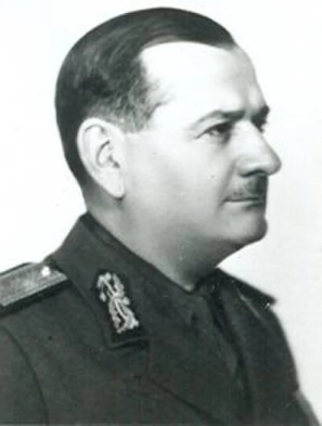 Ilie Șteflea