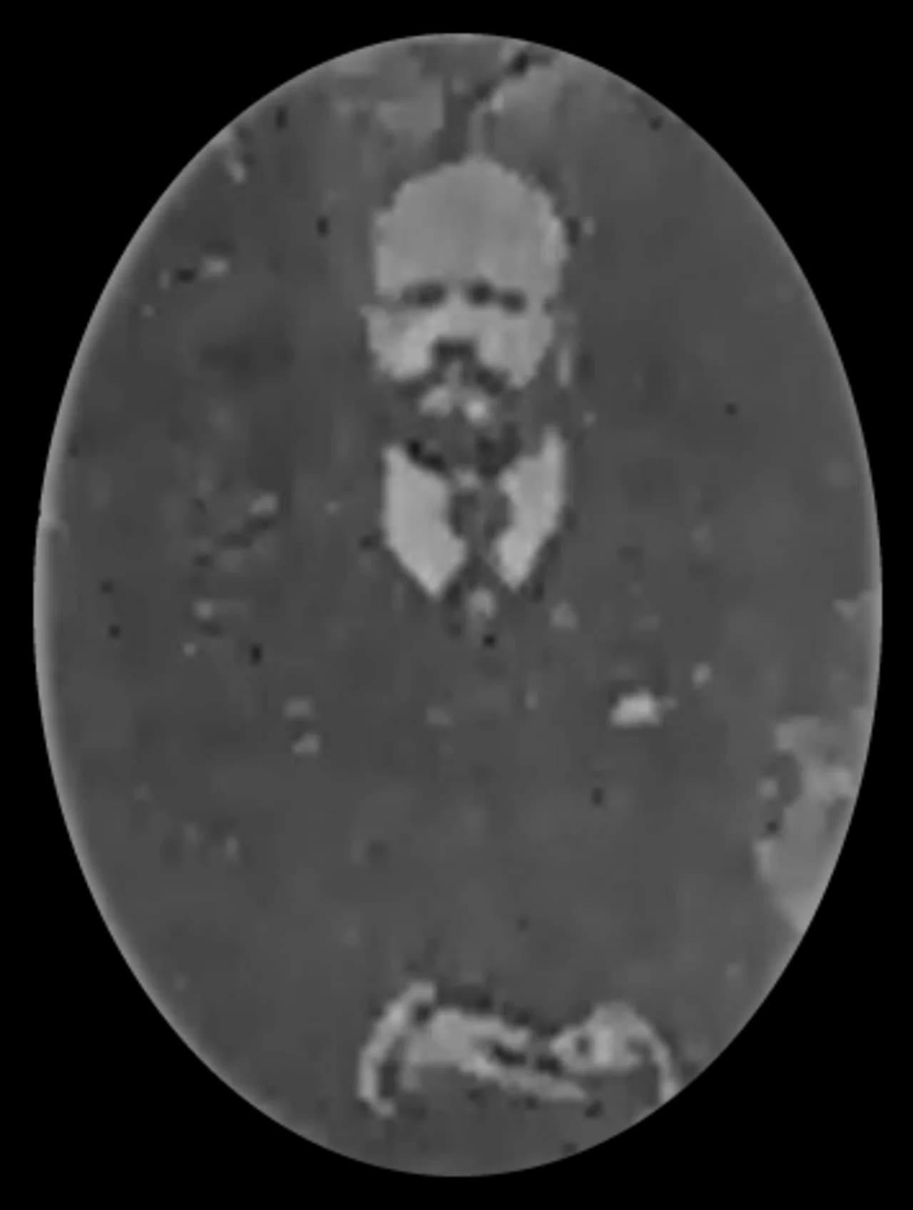 Josip Belušić