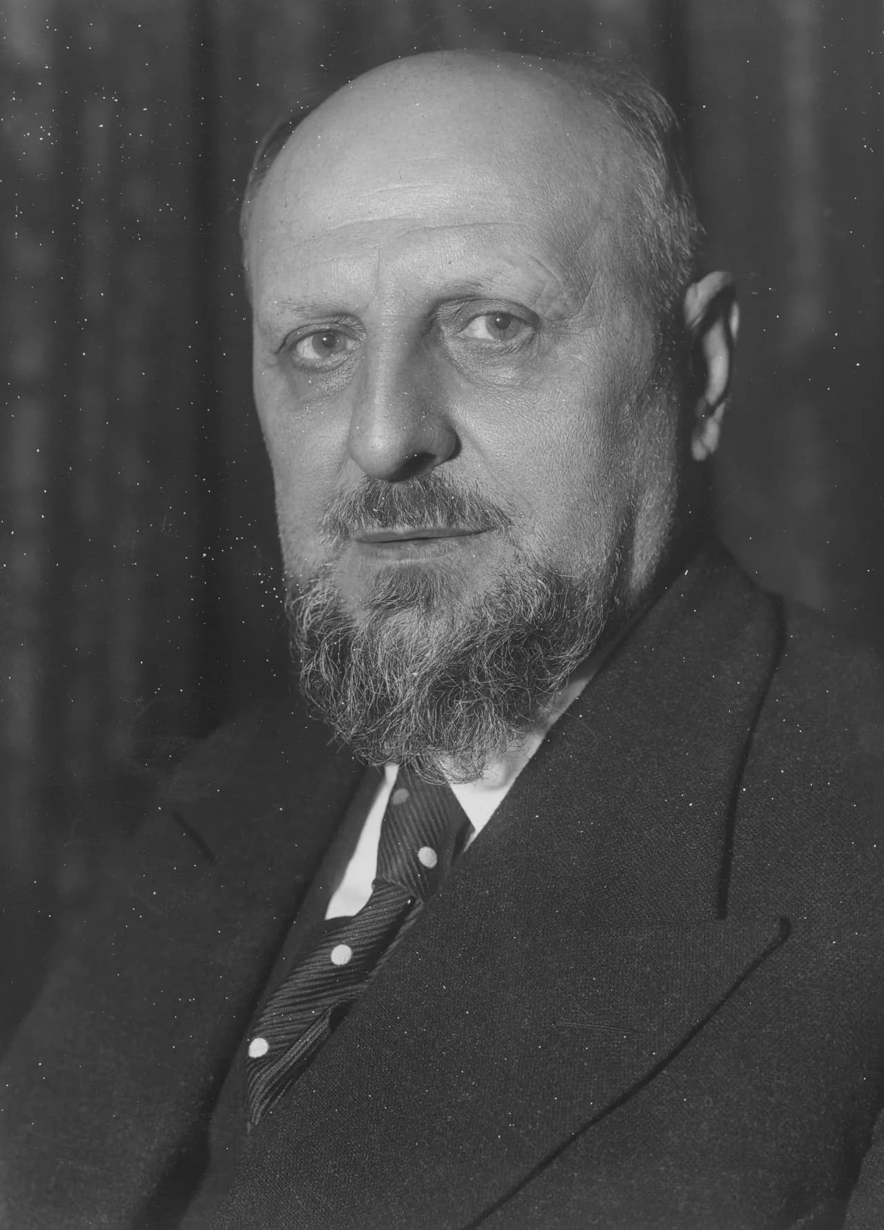 Aleksandar Zankow