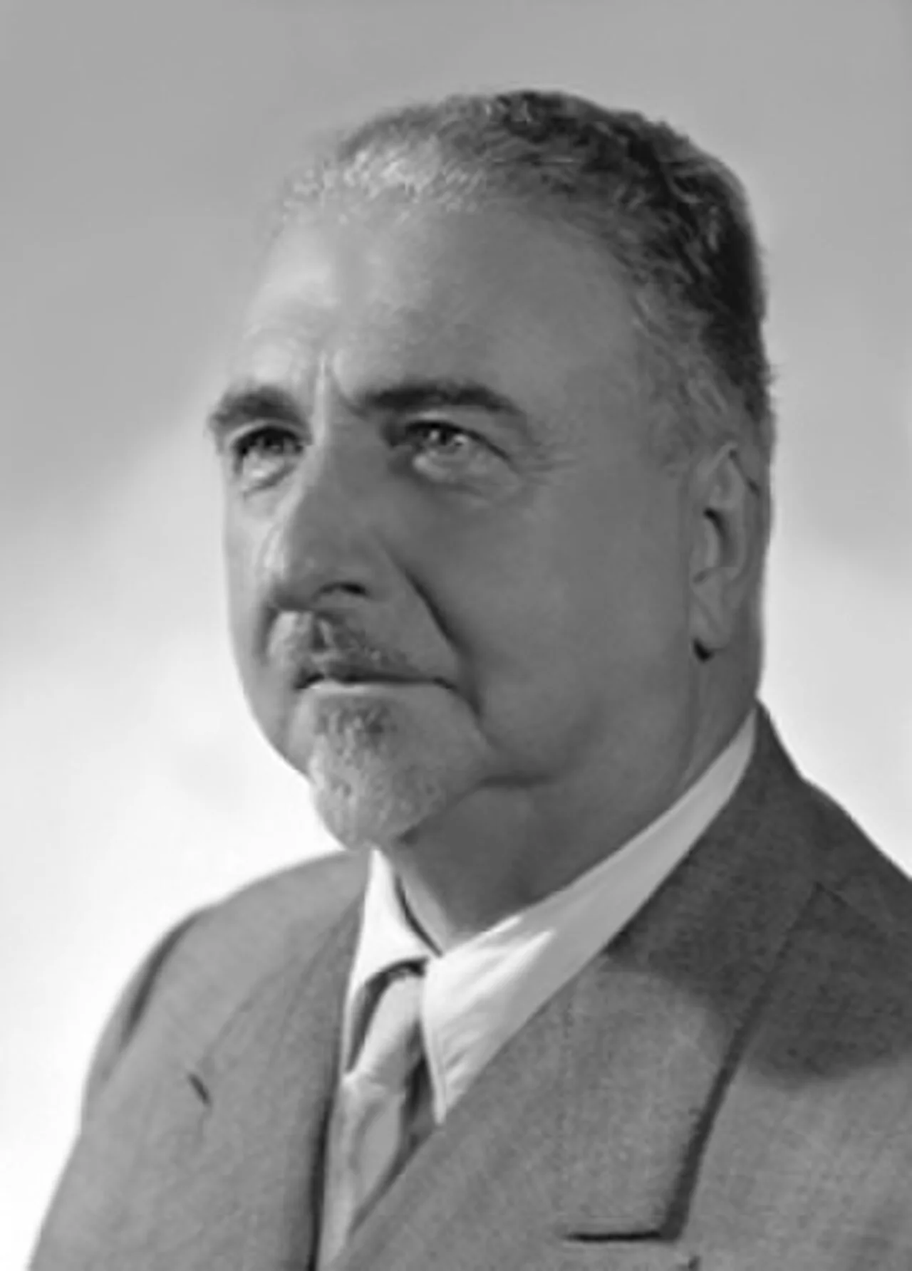 Francesco Marchini Camia