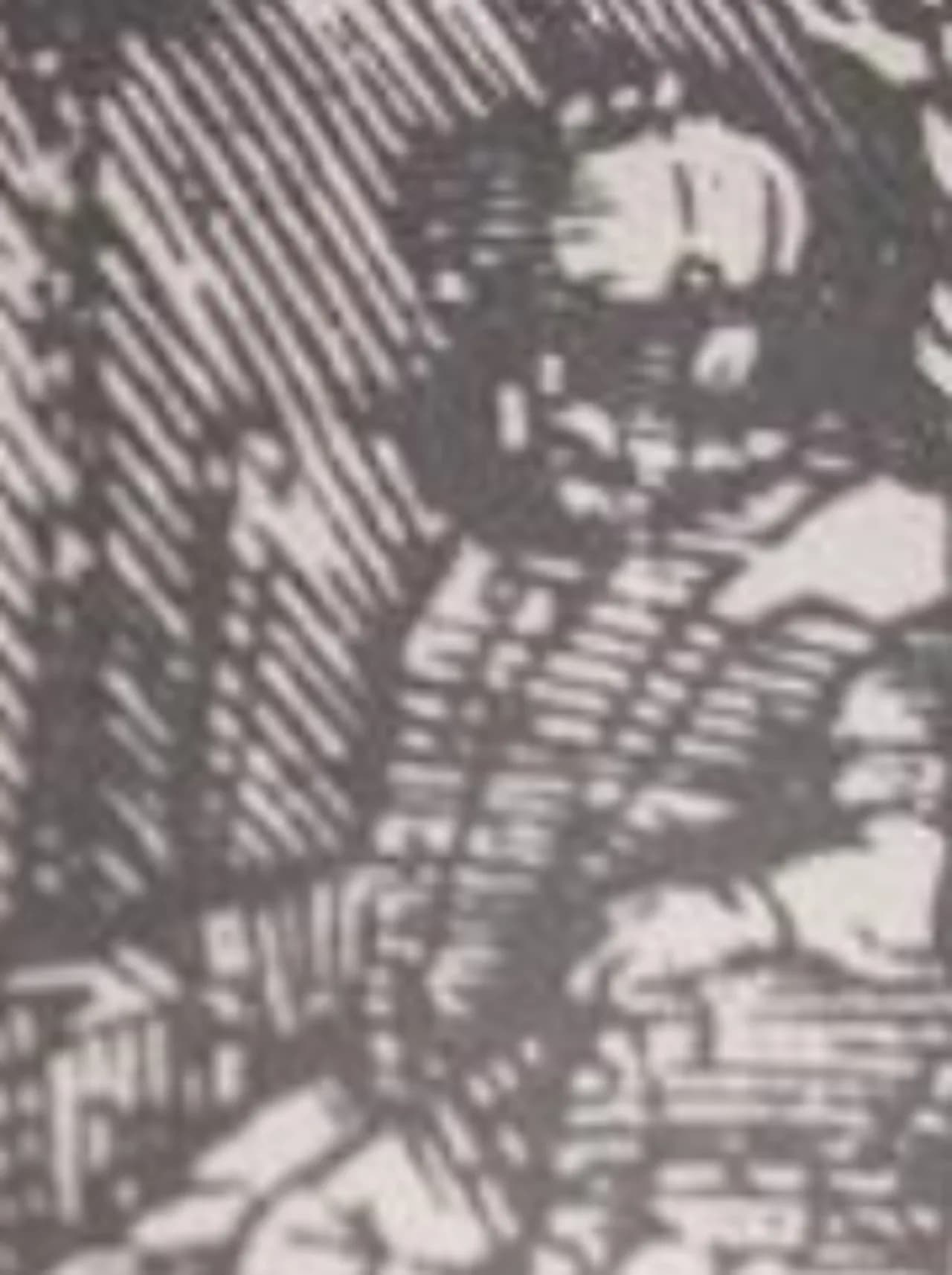 Gazi Husrev Beg