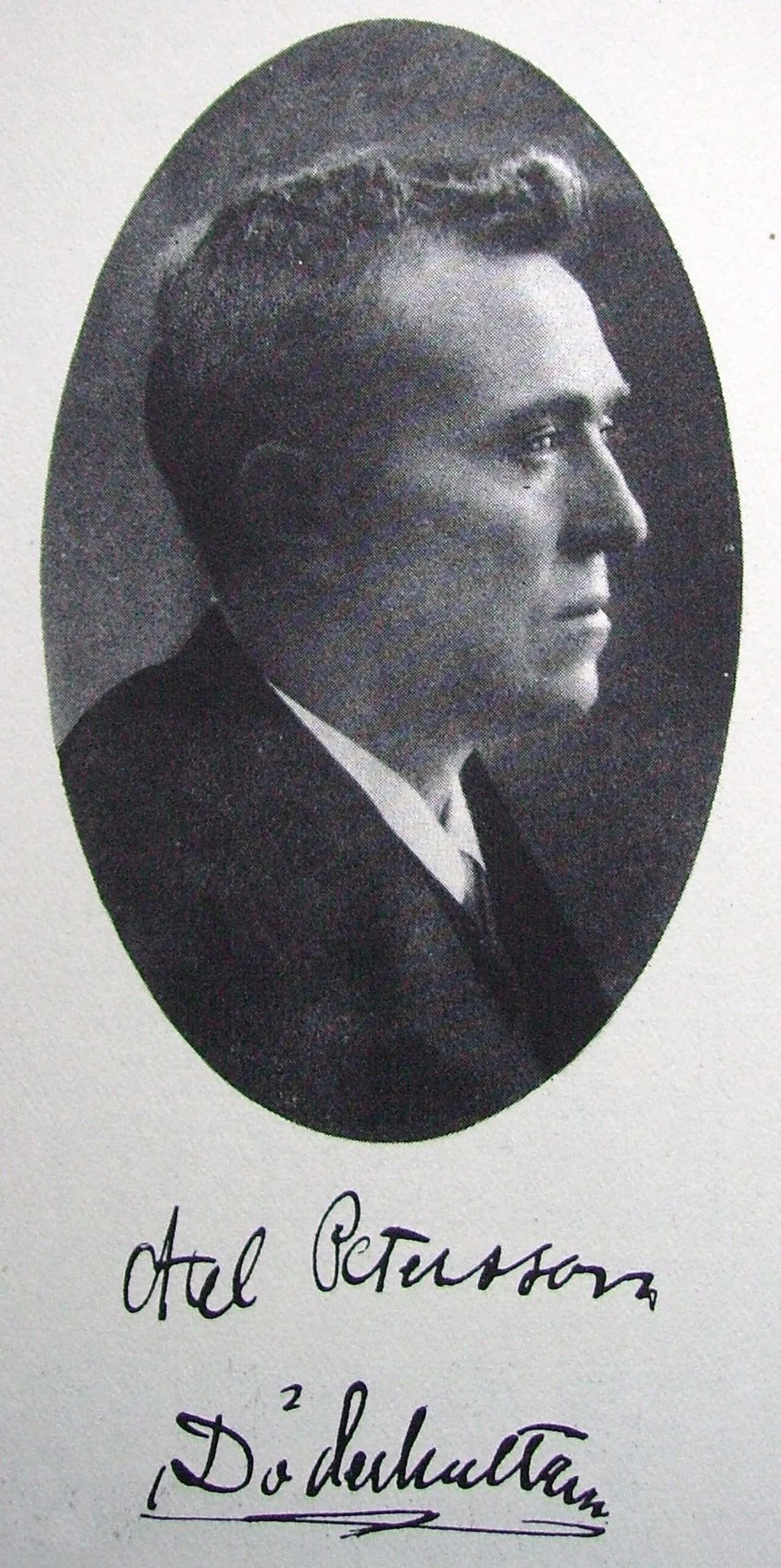 Axel Petersson Döderhultarn