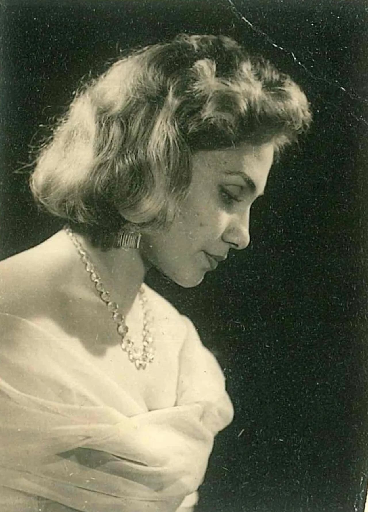 Evelyn Baghcheban