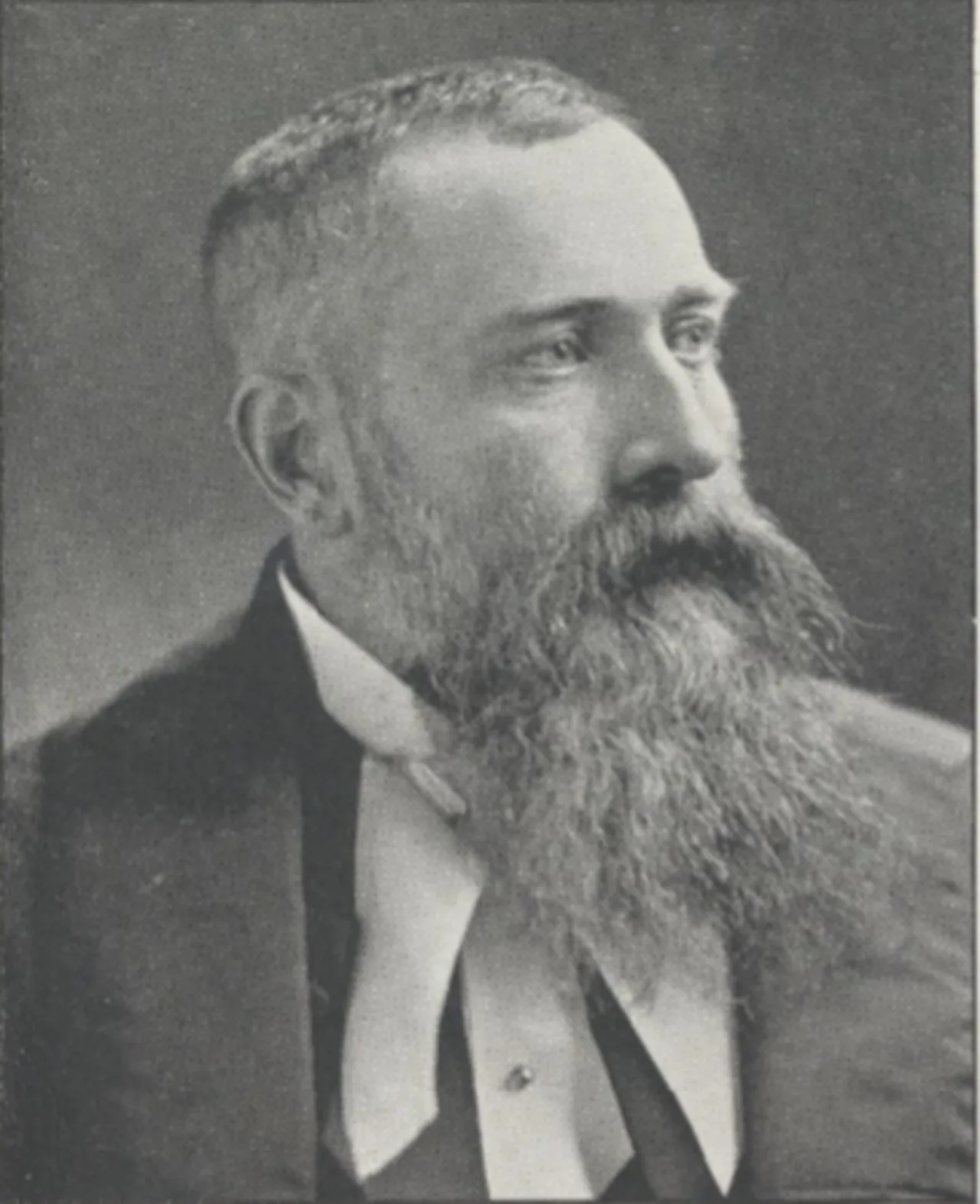 A.J.W. McNeilly