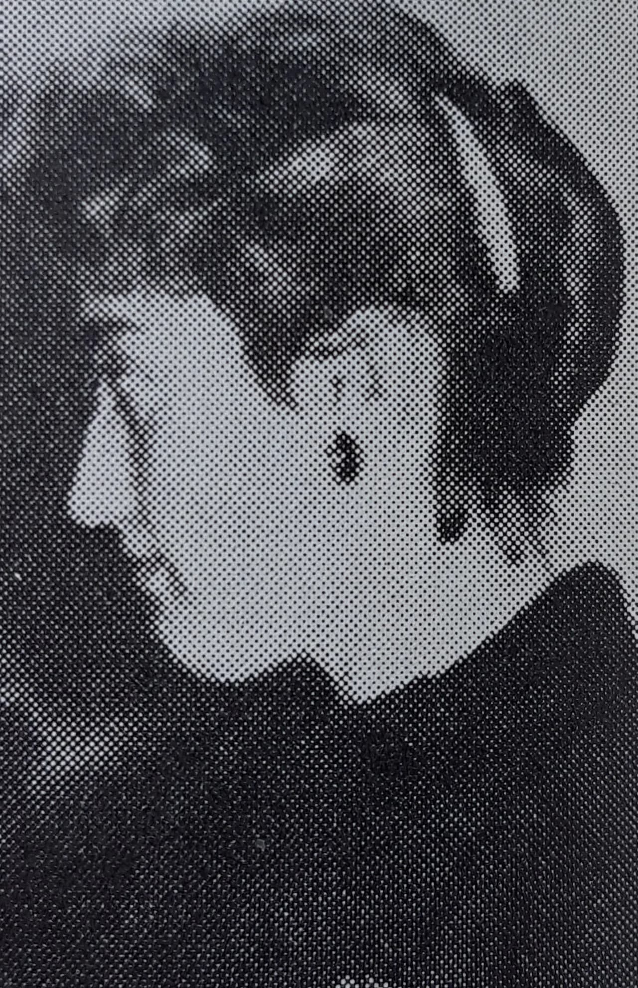 Anna-Stina Nilstoft