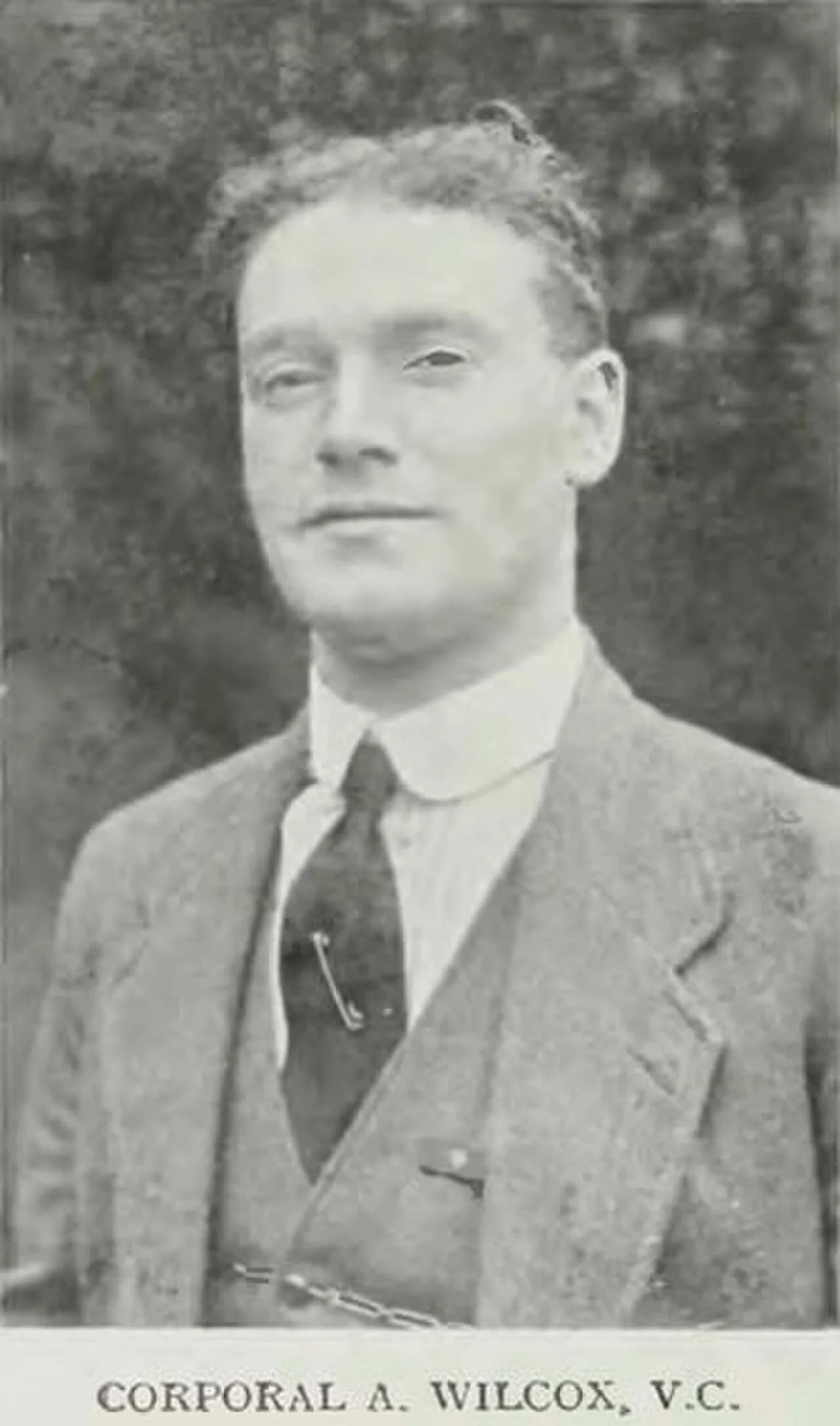 Alfred Wilcox
