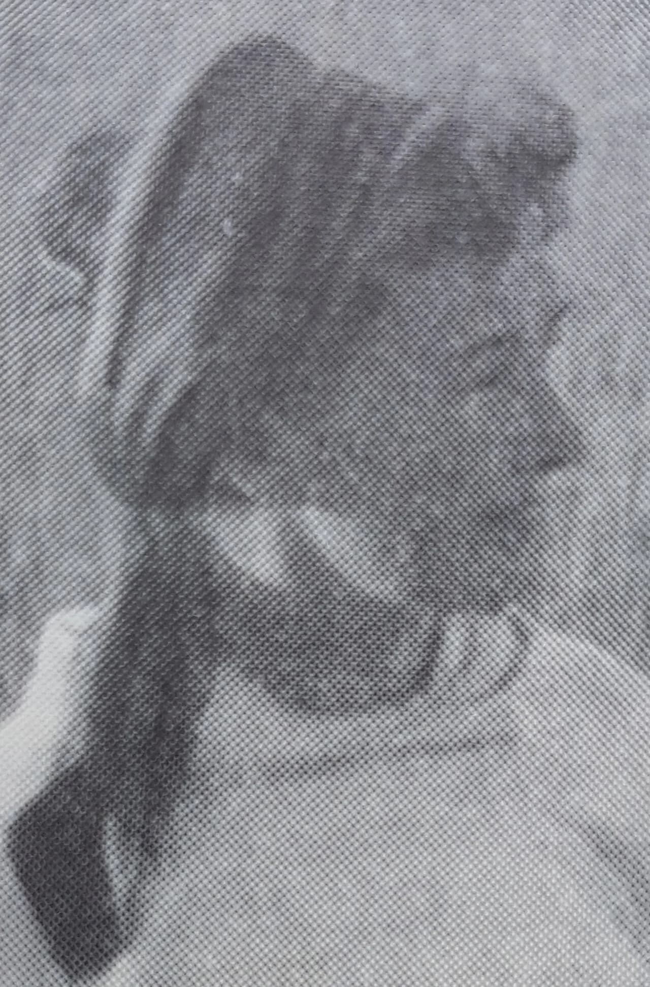 Olga Tesch-Hallström