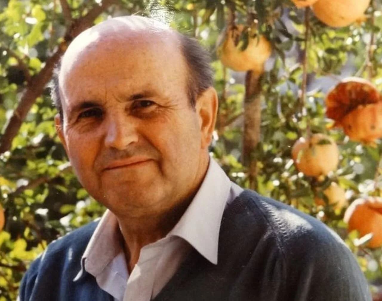 Christos Malevitsis