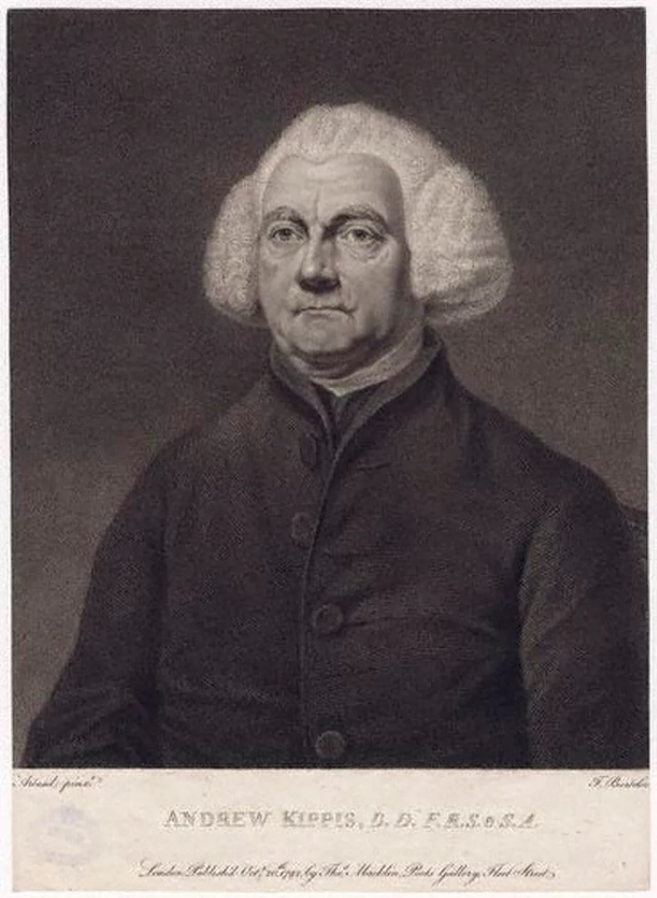 Andrew Kippis