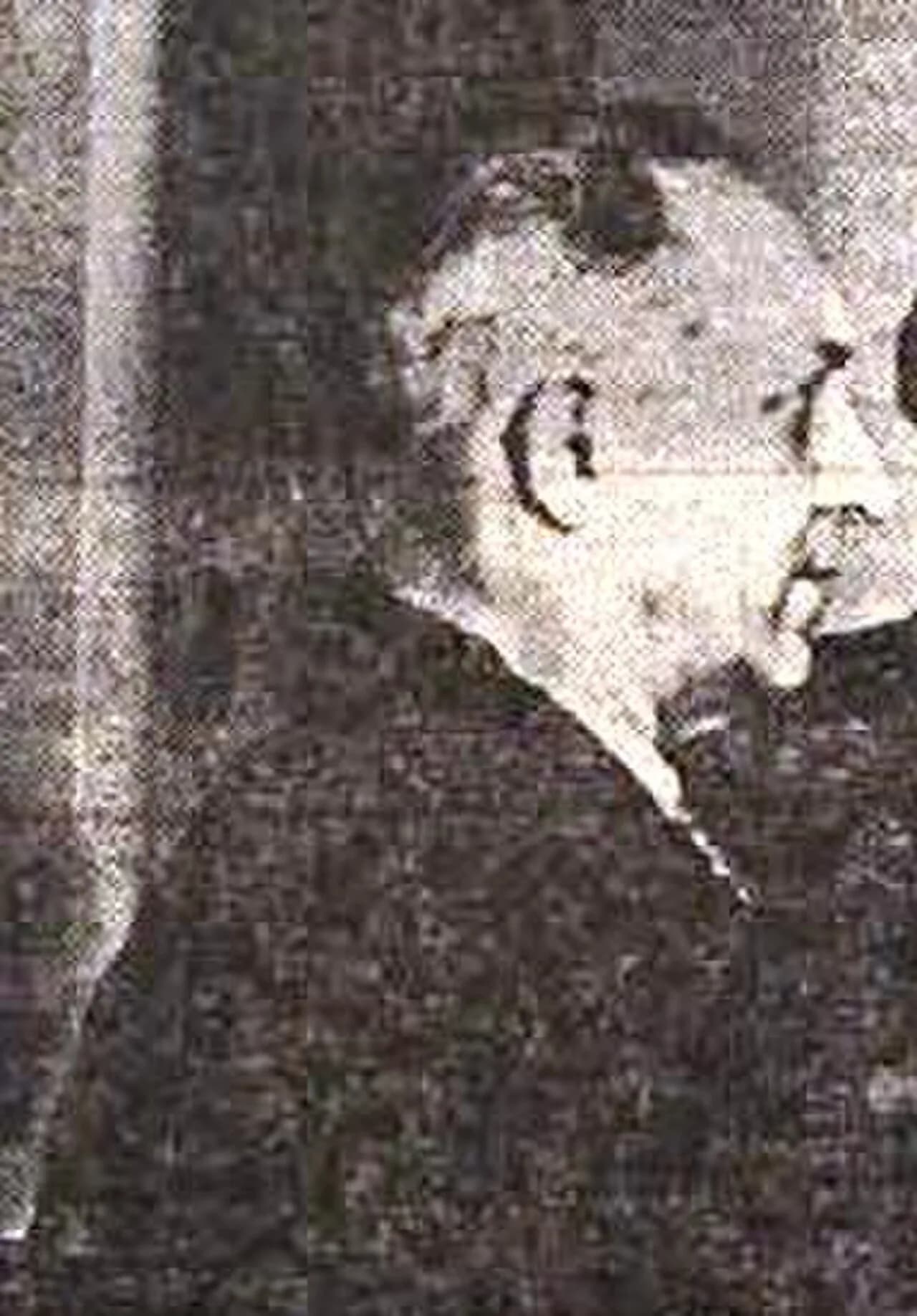 Anton Podbevšek