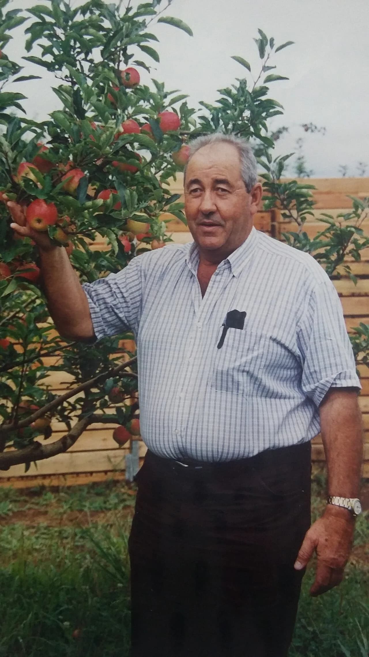 Luiz Borges Júnior