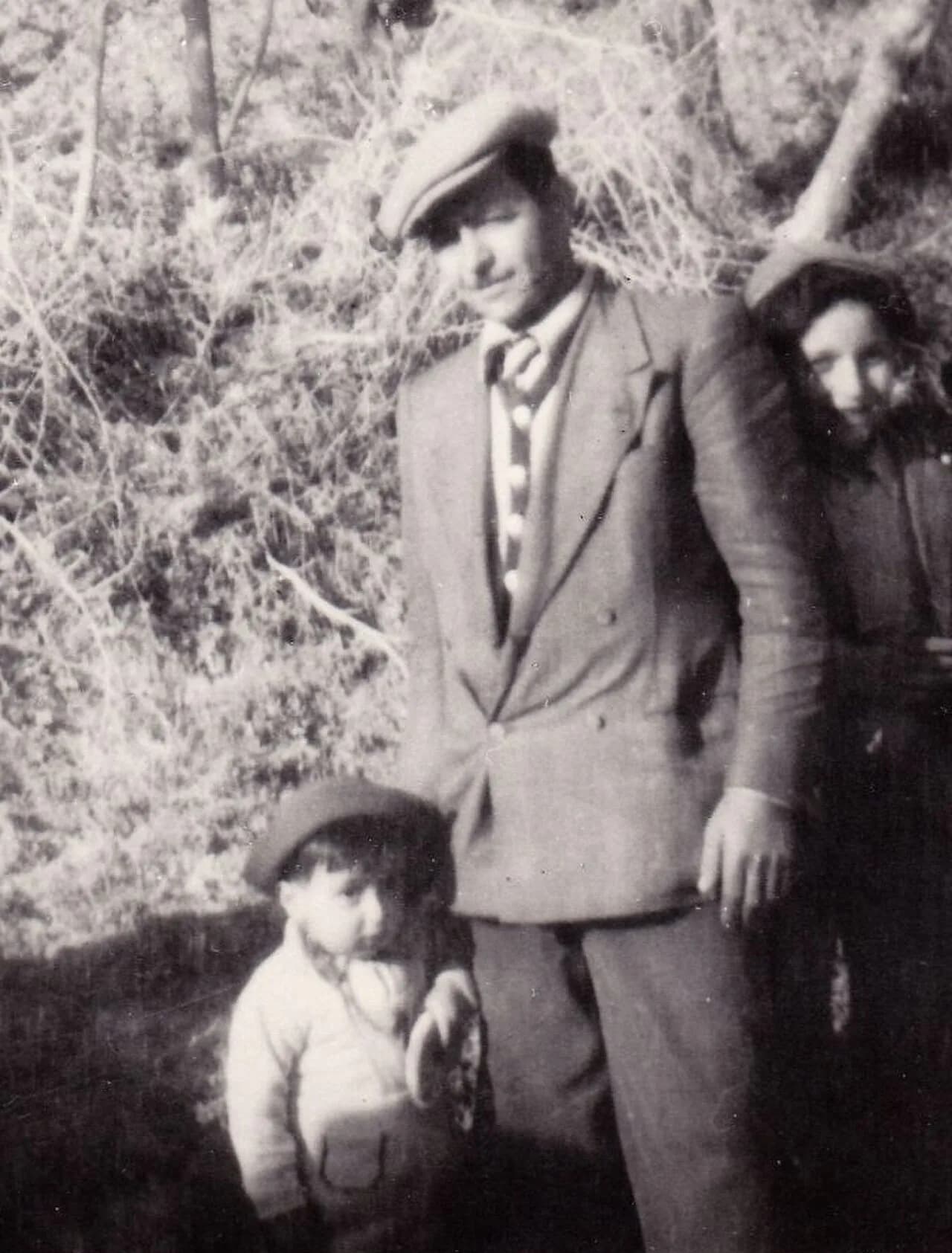 Giuseppe Novello
