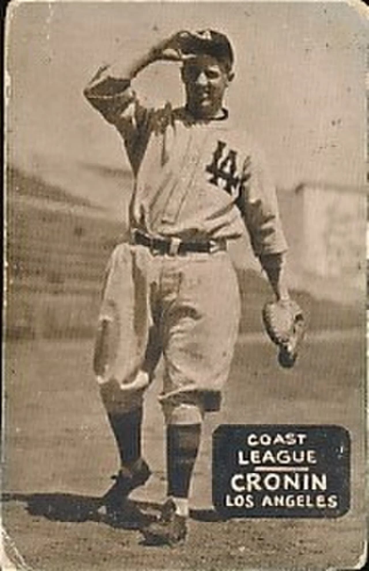 Bill Cronin