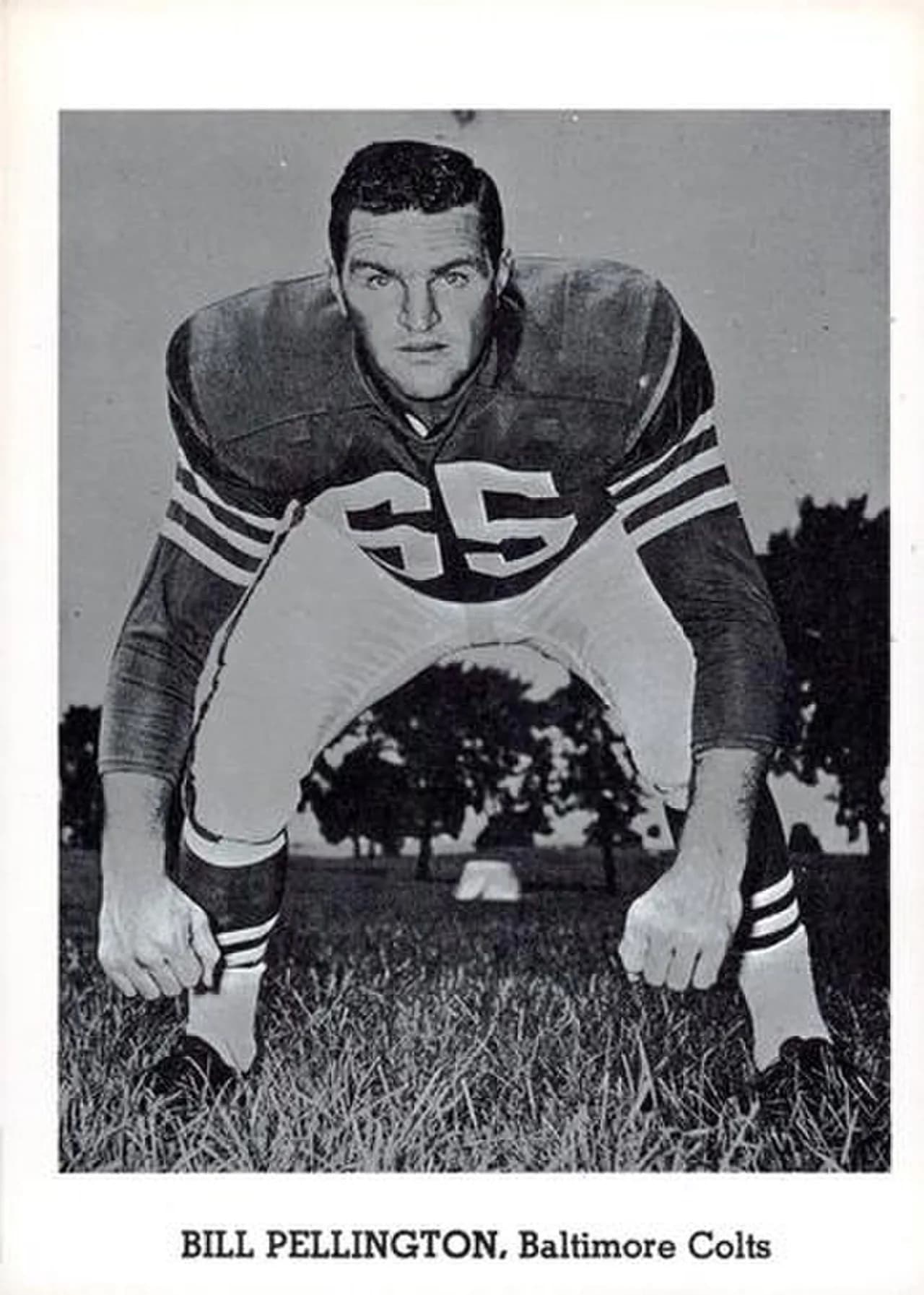 Bill Pellington