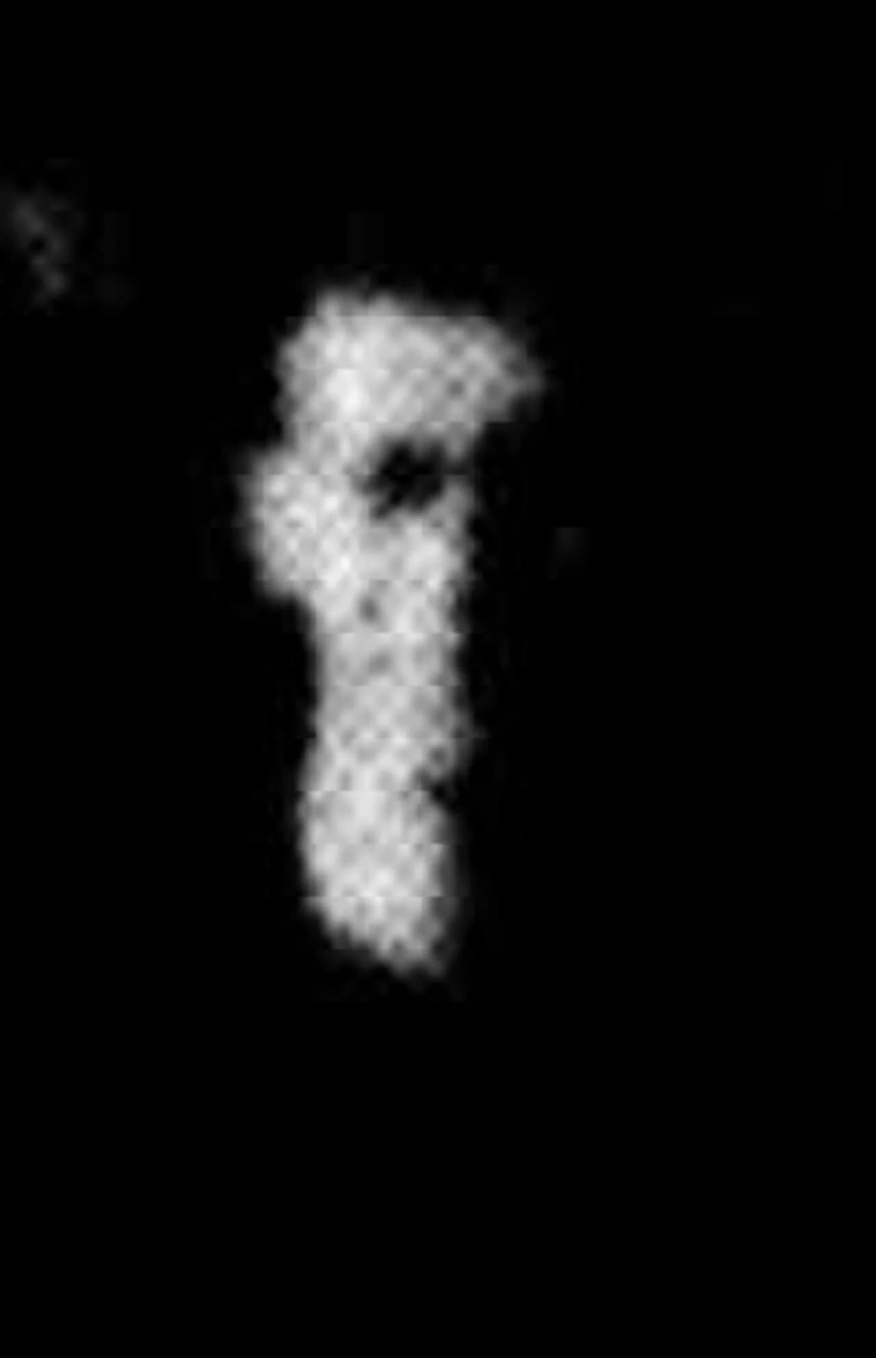 Bill Vanthoff
