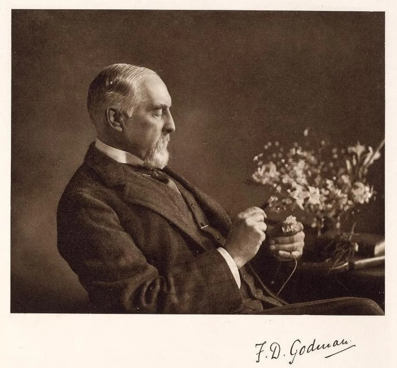 Frederick DuCane Godman