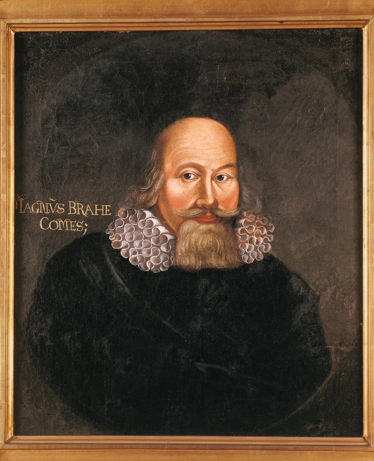 Magnus Brahe