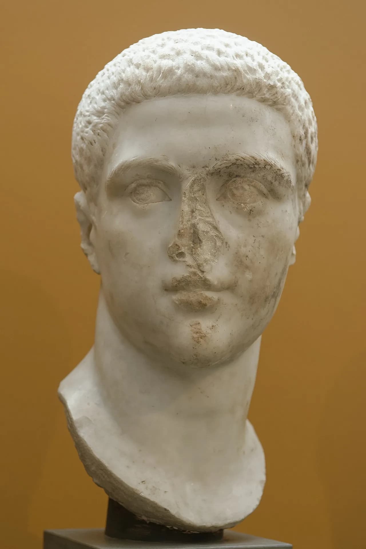 Maximus Caesar