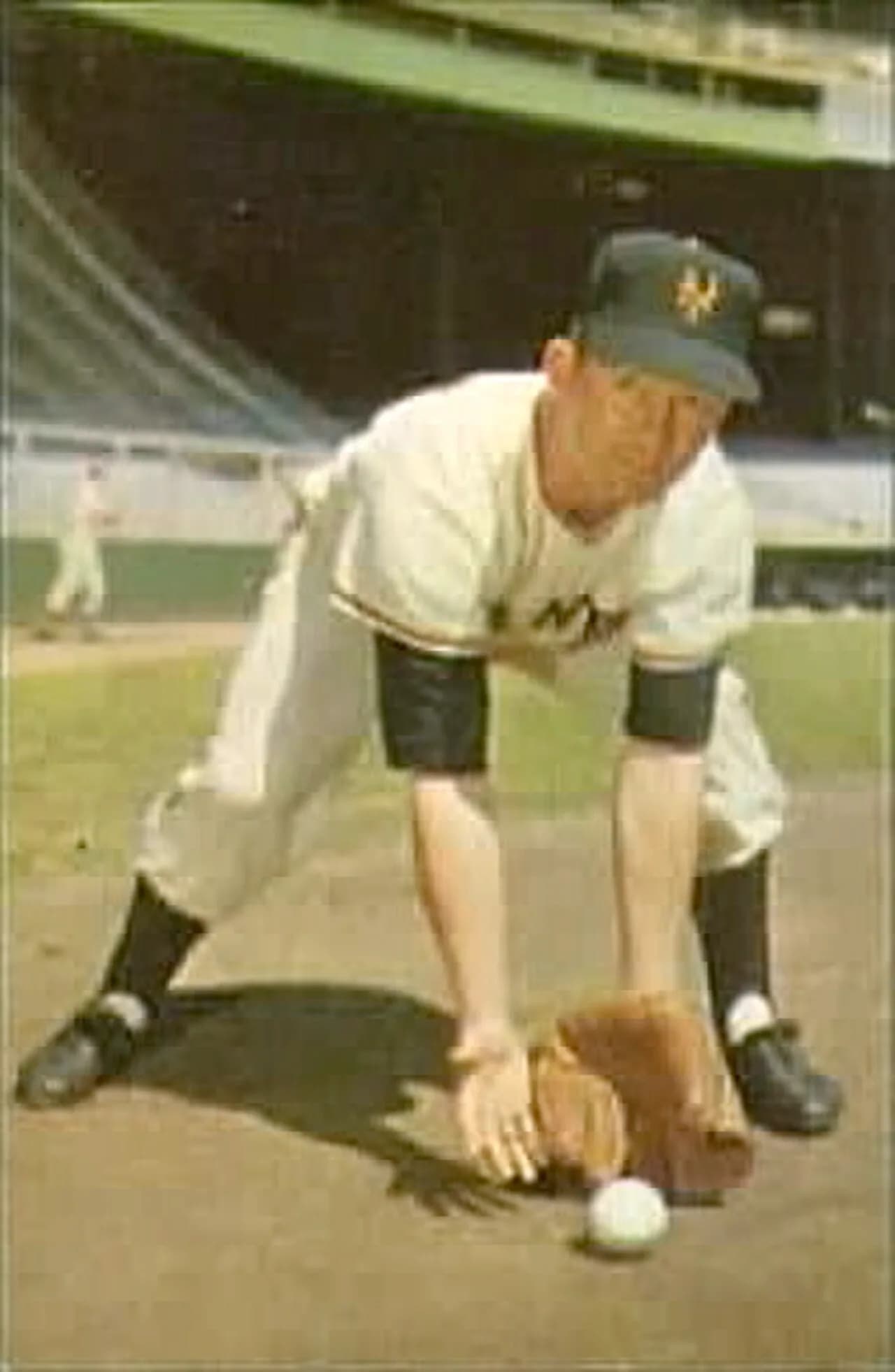Davey Williams