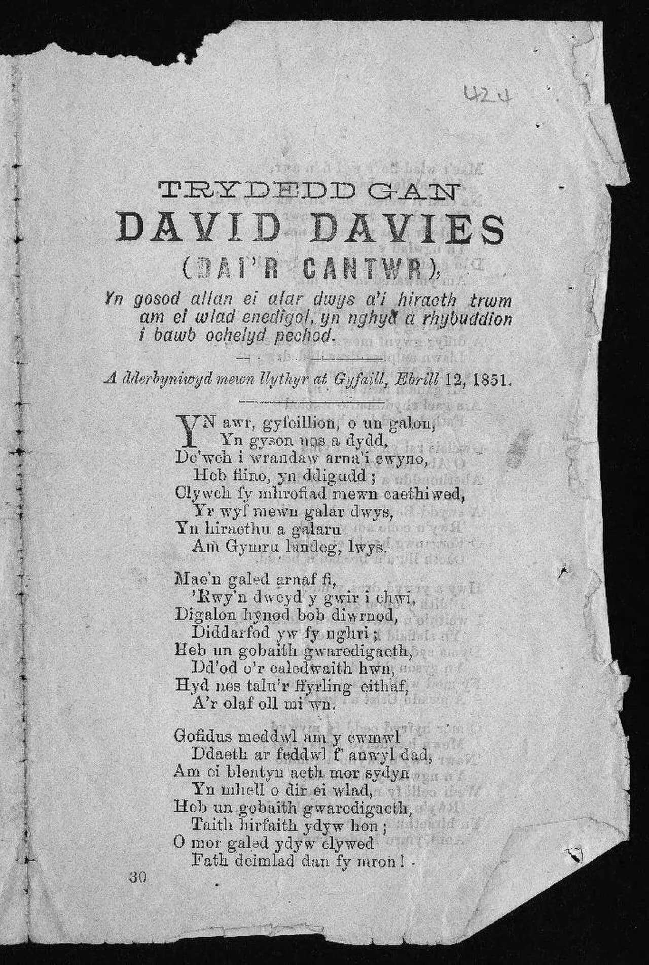 David Davies