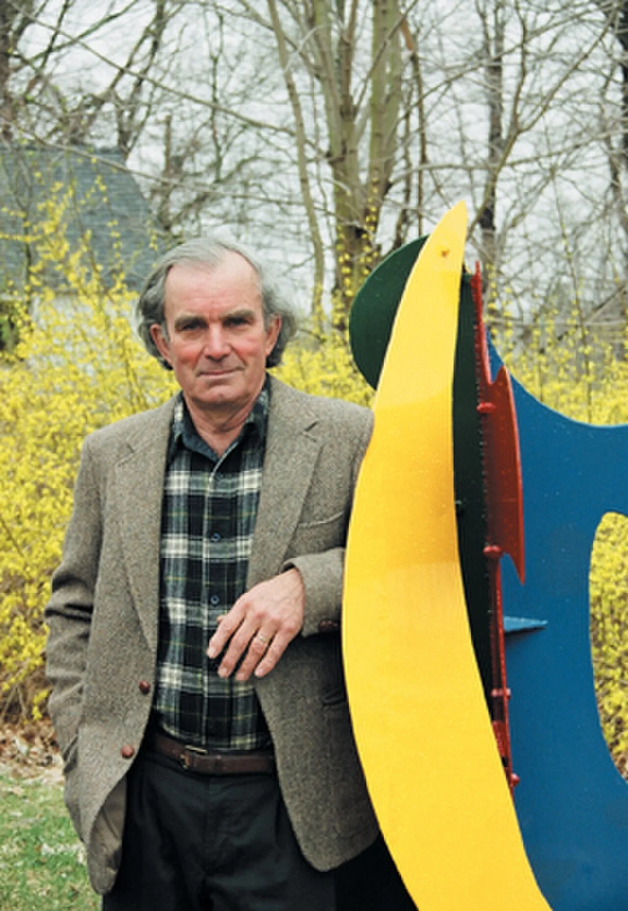 David Hayes
