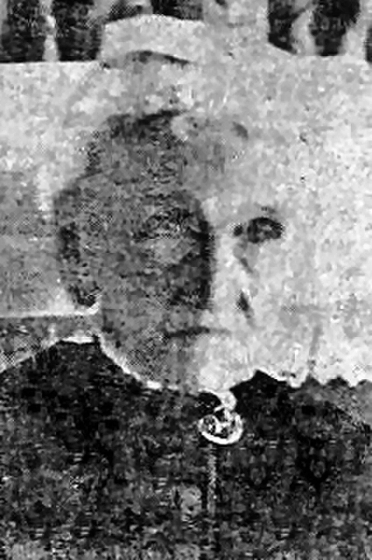 Mary Ann Tripp