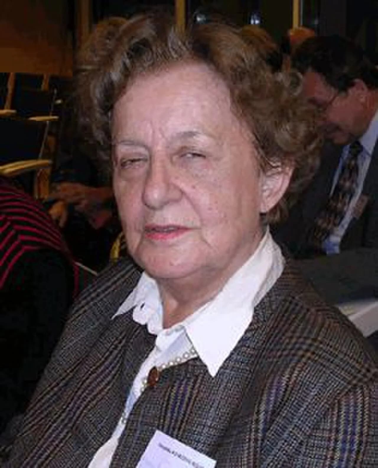 Desanka Kovačević-Kojić