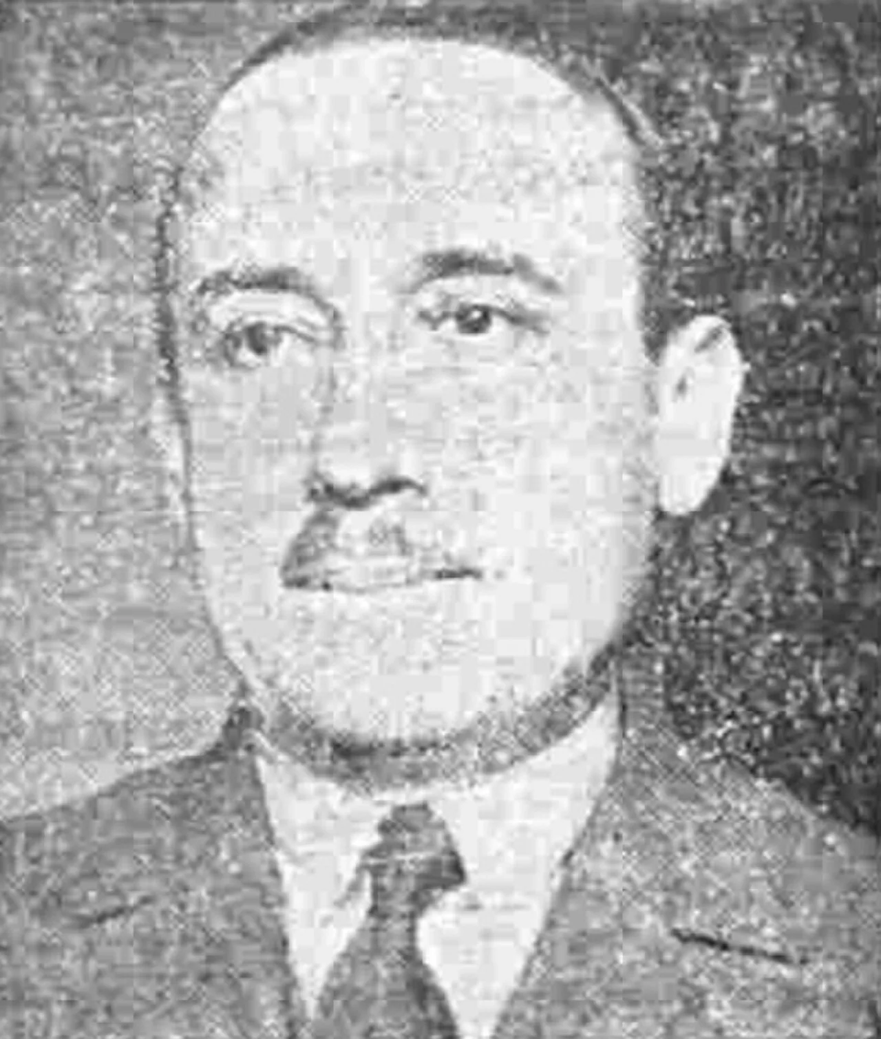 Dobrica Matković