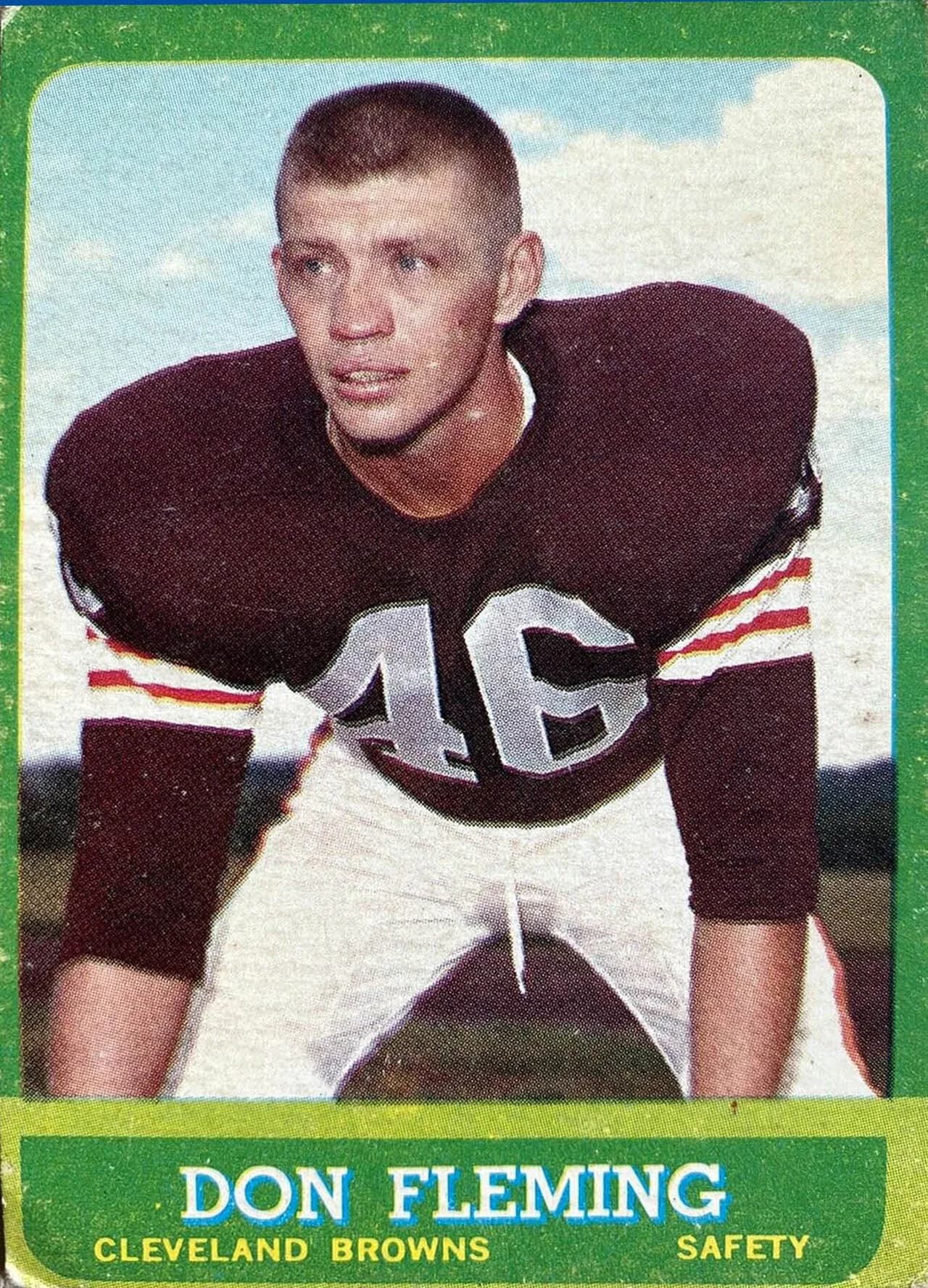 Don Fleming