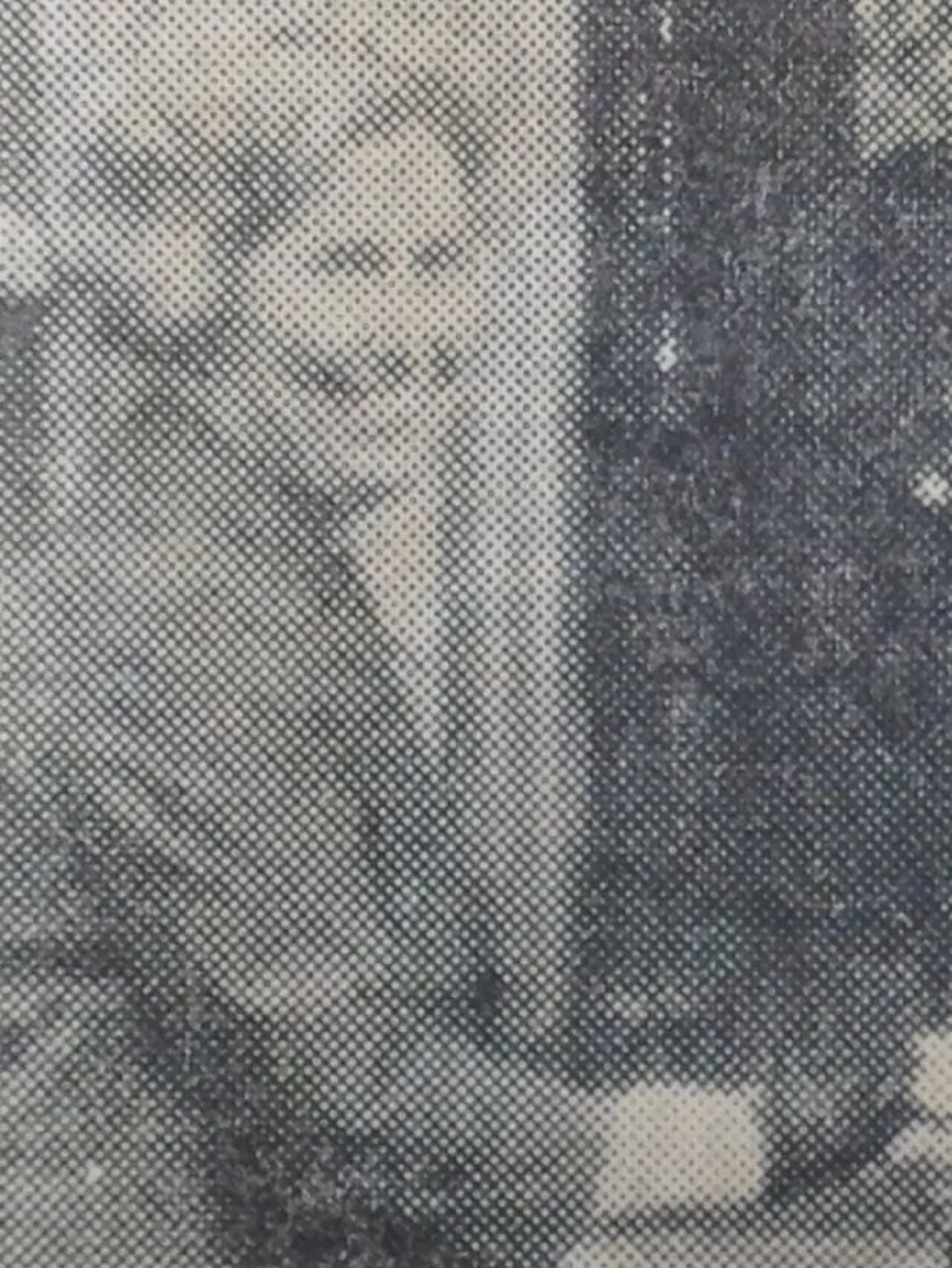 Elsie Tu