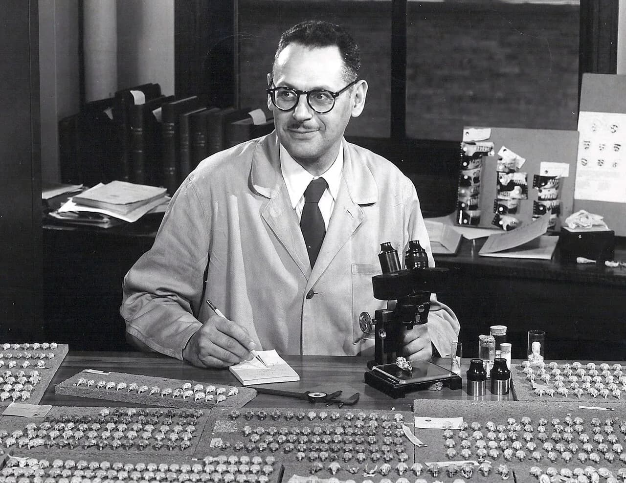 Philip Hershkovitz