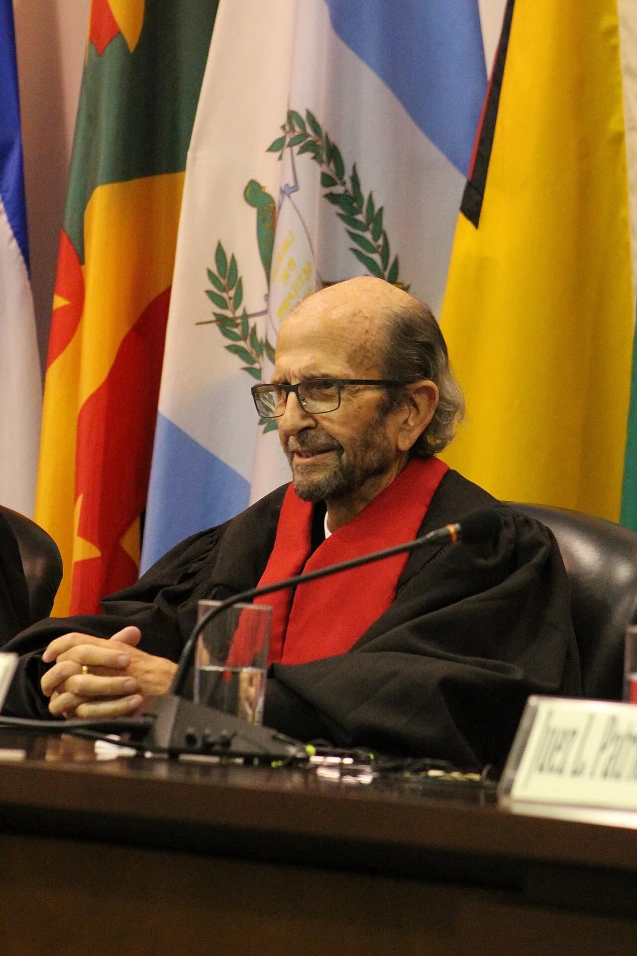 Eduardo Vio Grossi