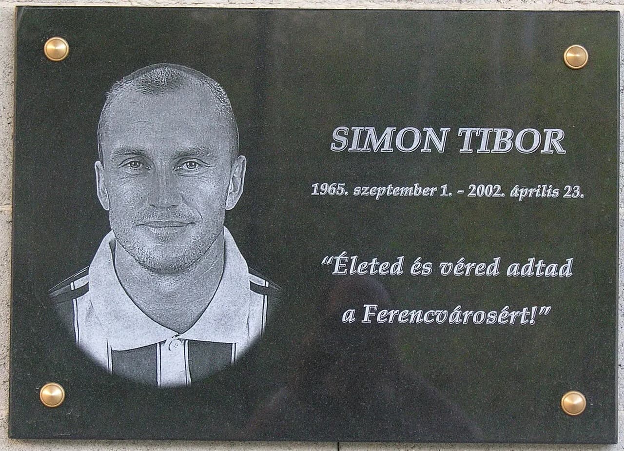 Tibor Simon