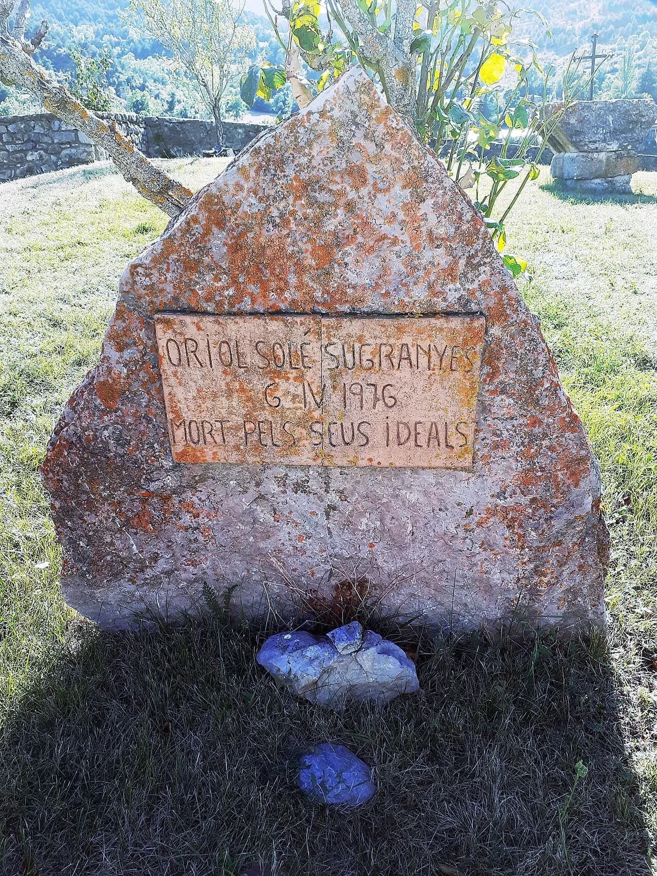 Oriol Solé Sugranyes