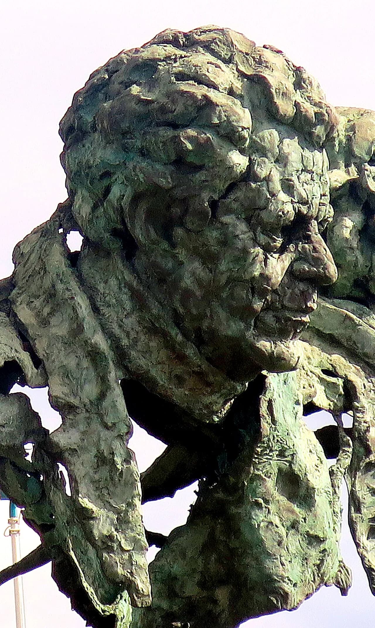 Manuel Pacheco