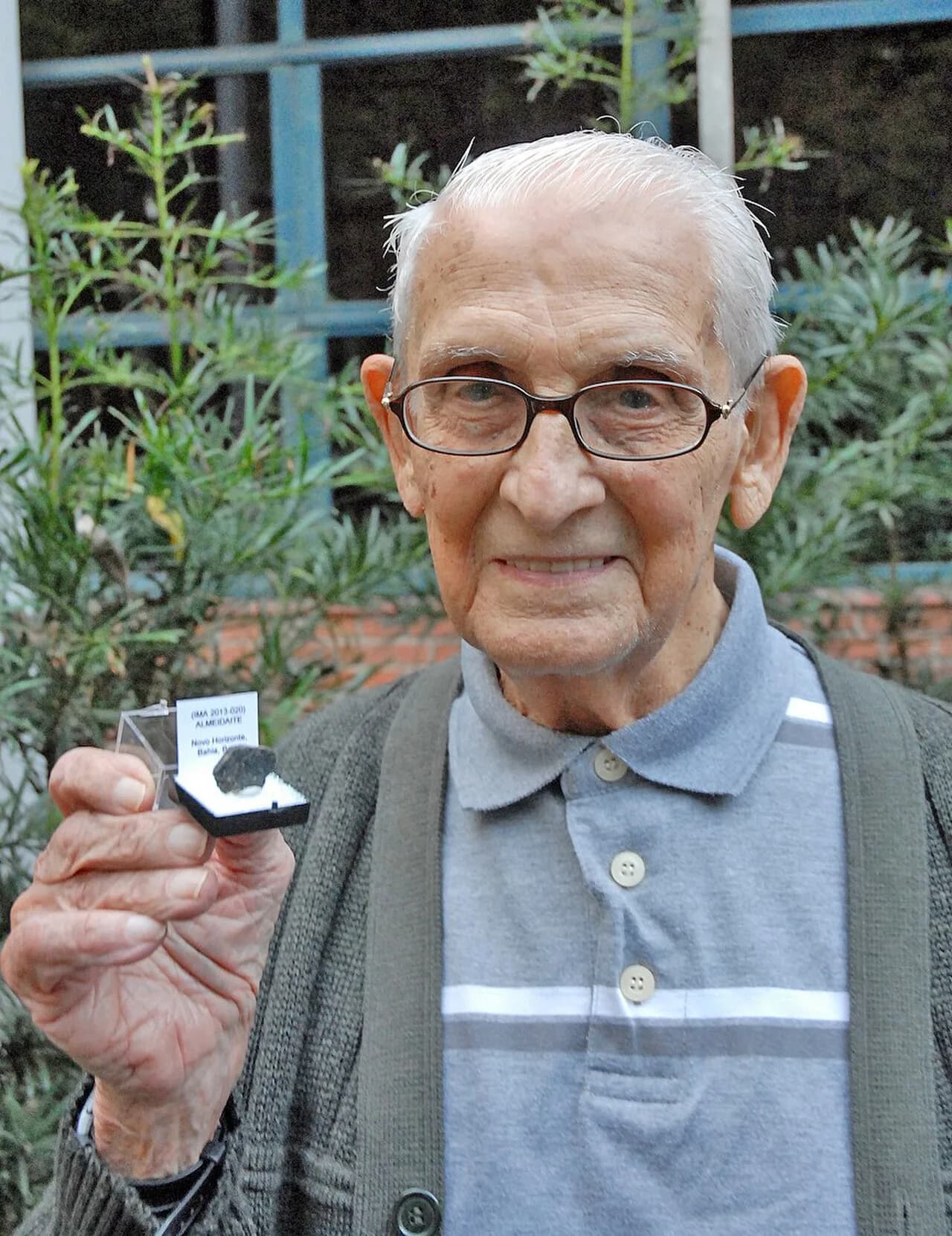 Fernando Flávio Marques de Almeida