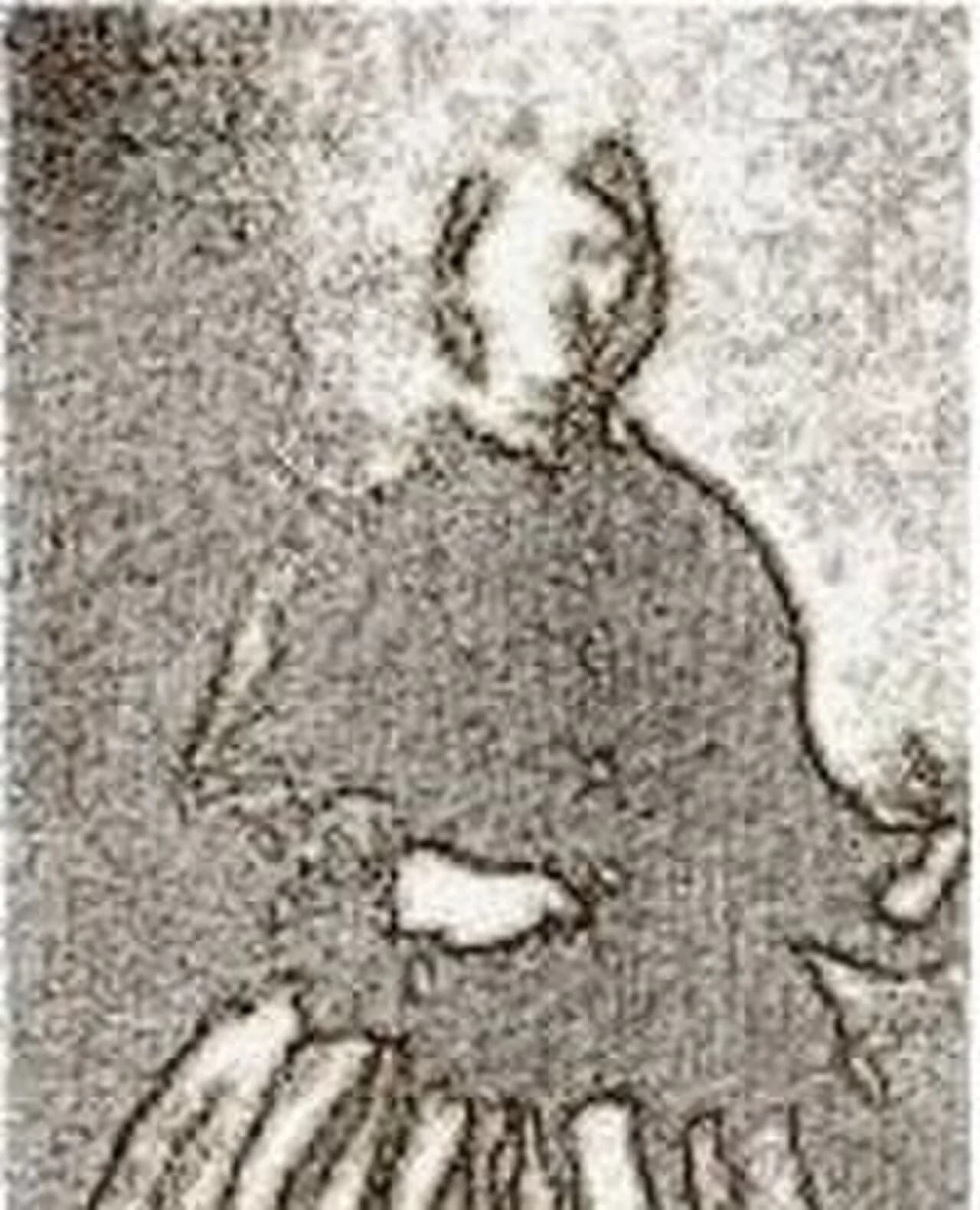 Mercedes Neira y Ortiz