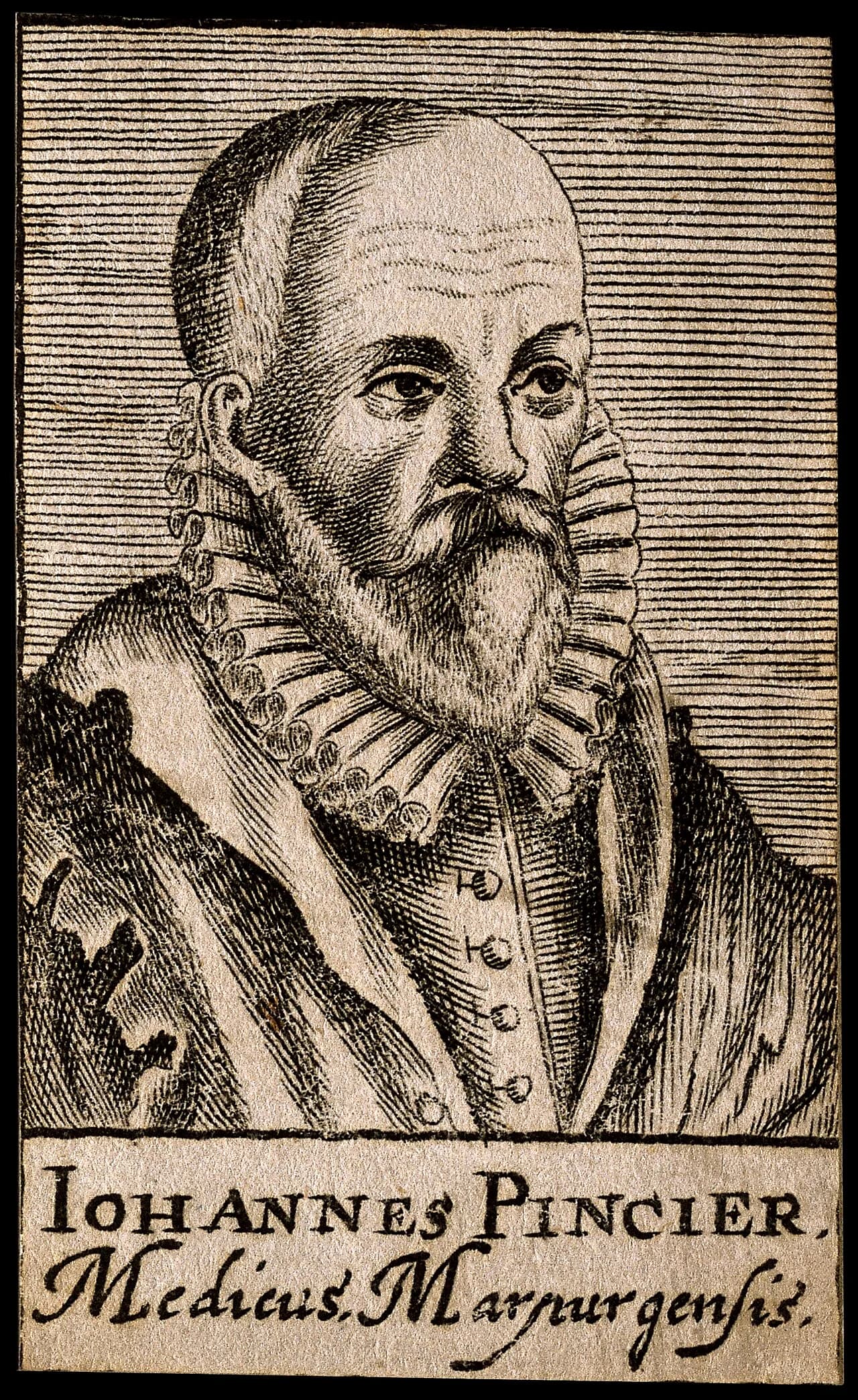 Johannes Pincier