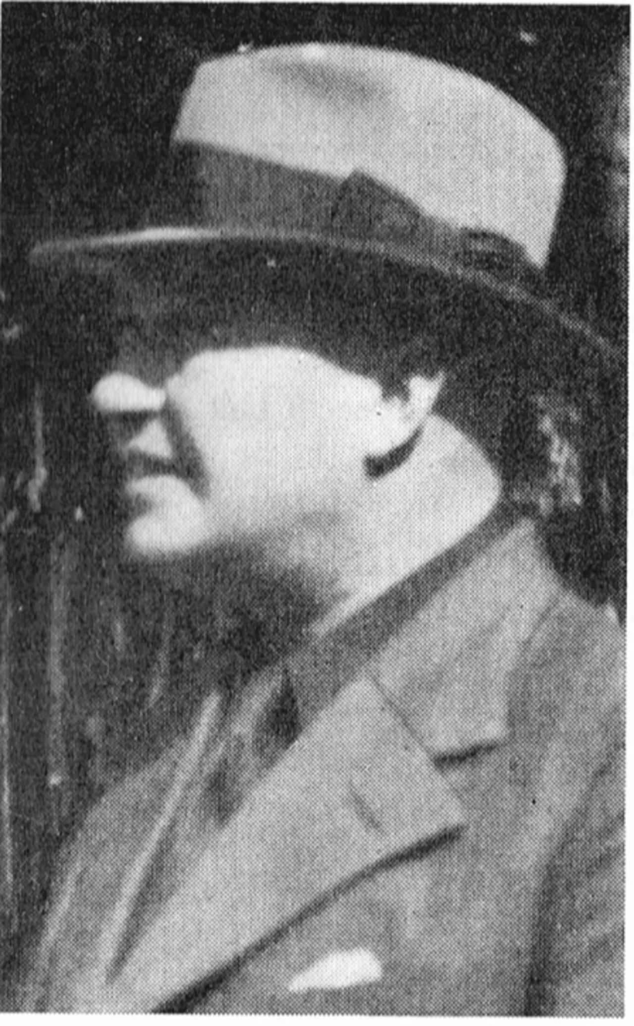 Frans Berg