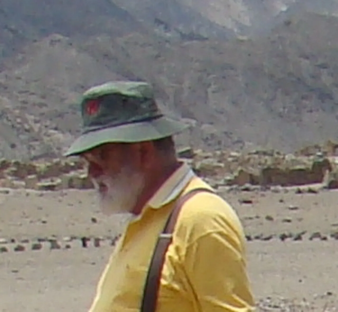 Luis Cavagnaro Orellana